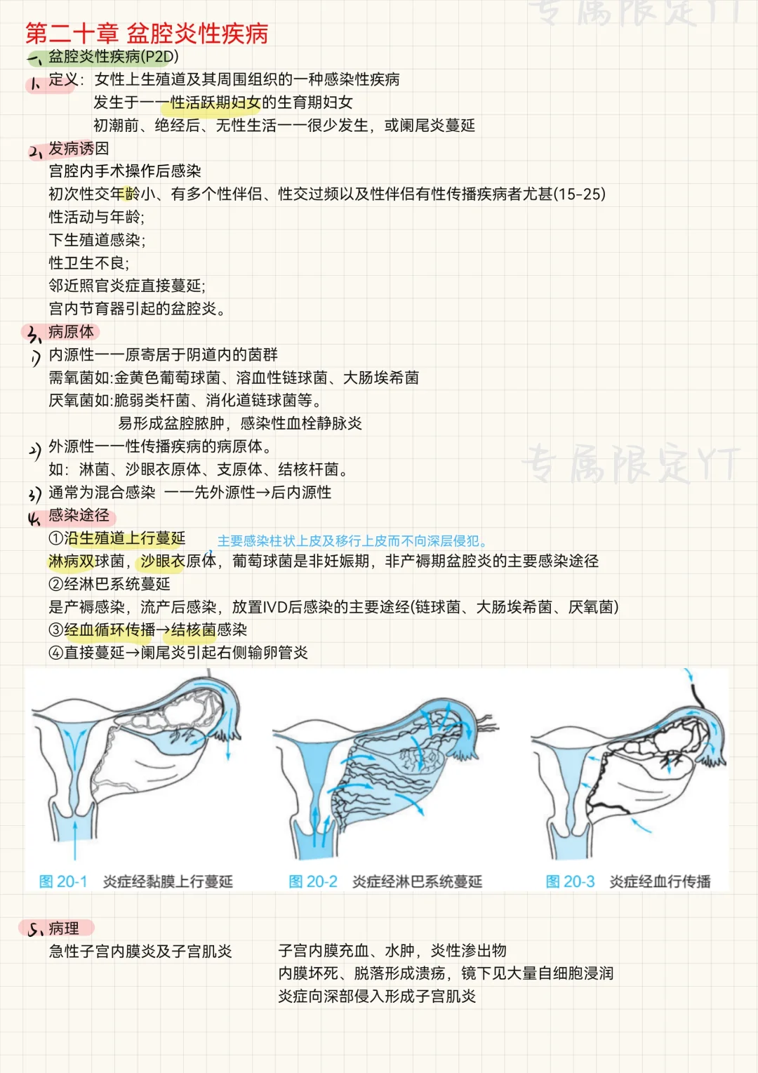 妇产科（16）-盆腔炎性疾病