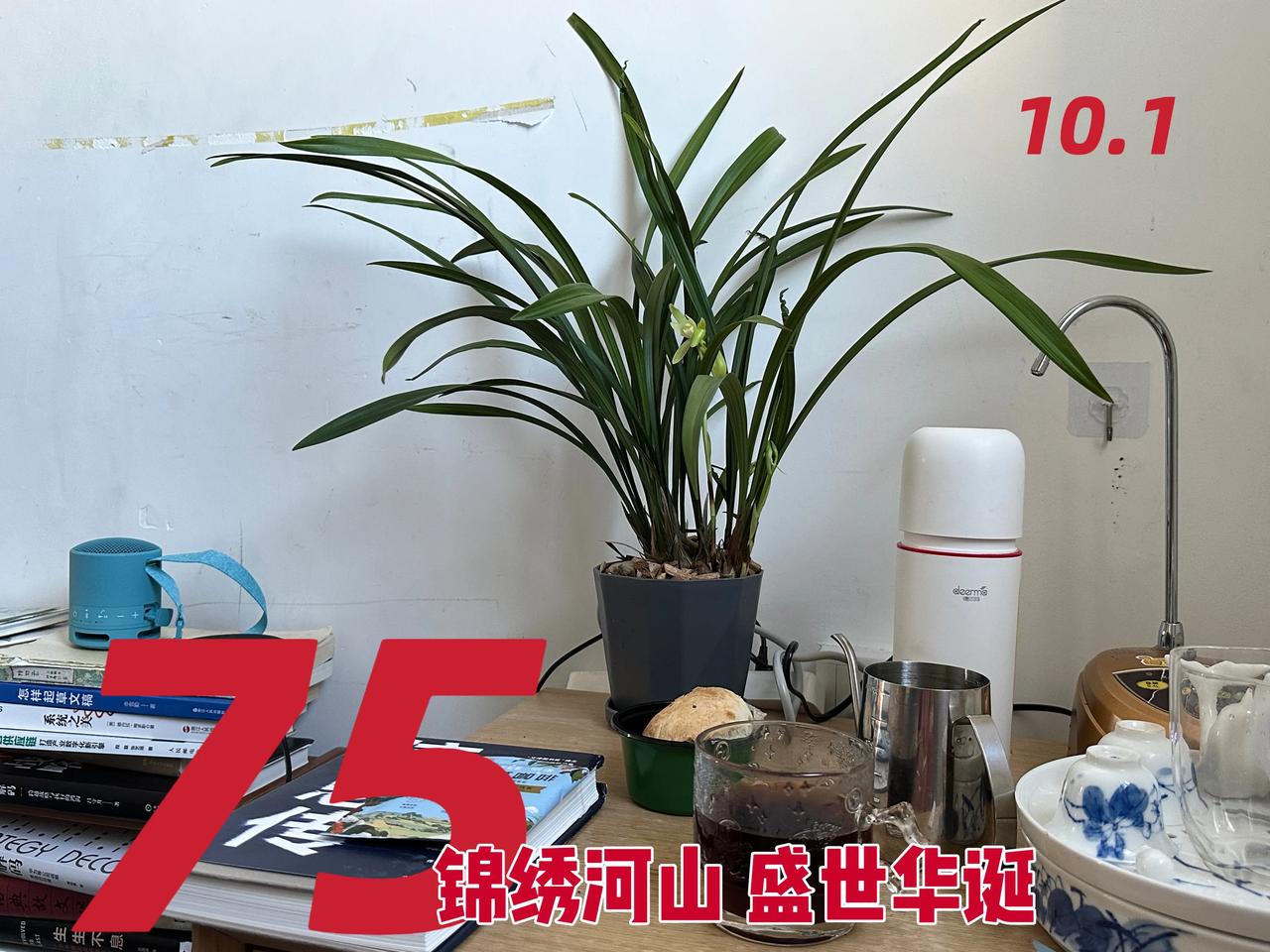 冲了挂耳瑰夏，佐以玫瑰鲜花饼，兰花开了，读几页《信息传》。看书中介绍热力学第二定