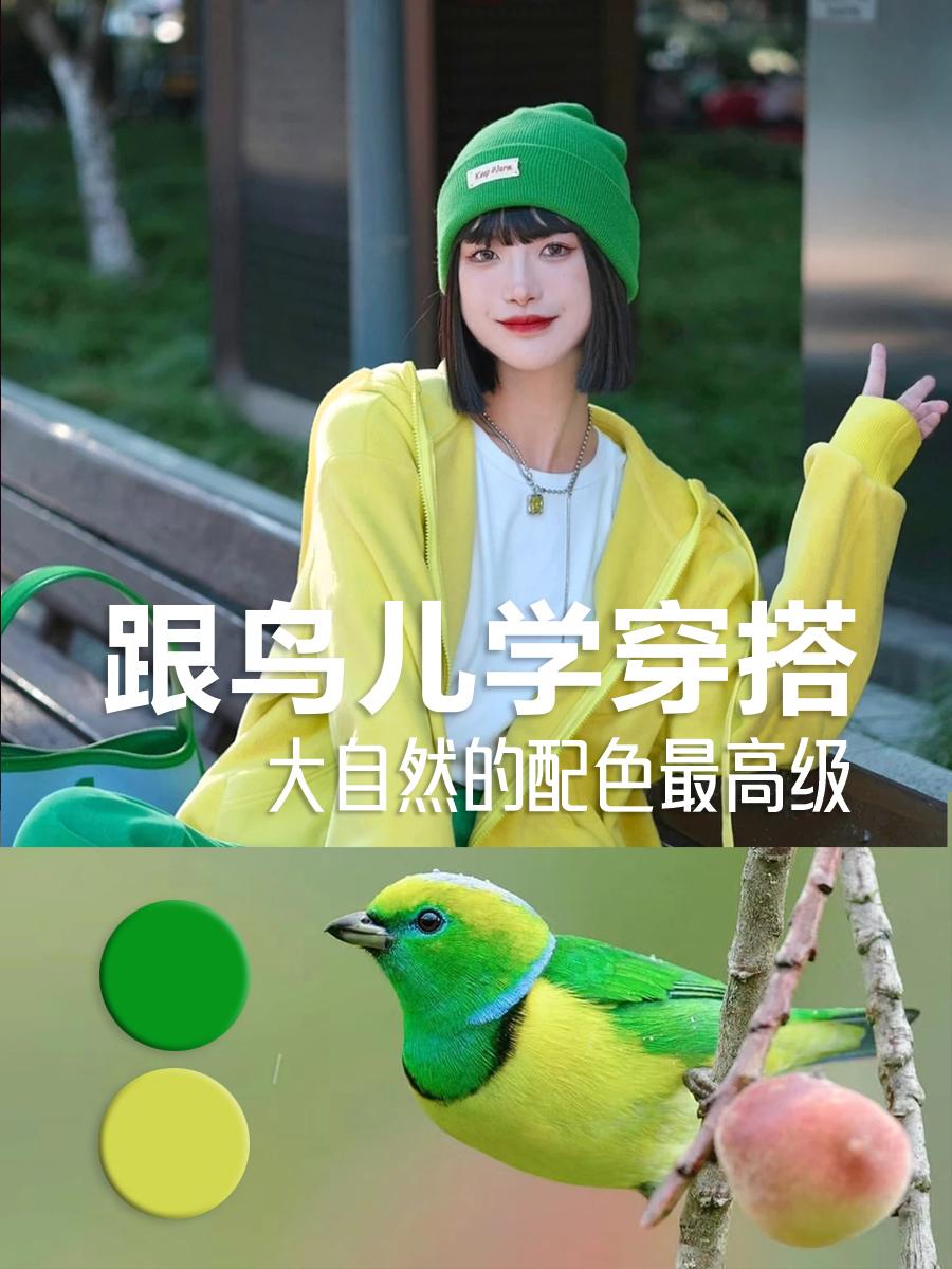 看看你最想学哪只鸟儿的色彩搭配💜🧡💛
#ootd穿搭 #穿出高级感 #穿搭