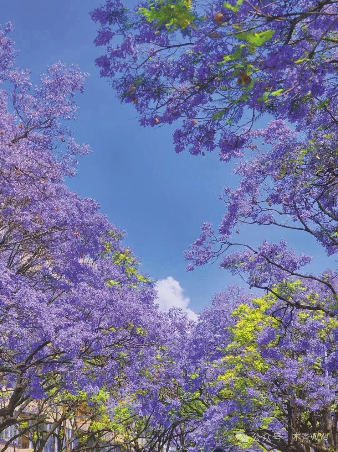 官宣！六一之后，天蝎开启暴富热恋模式！
6月1日起幸福突袭，横财从天而降，钱包一