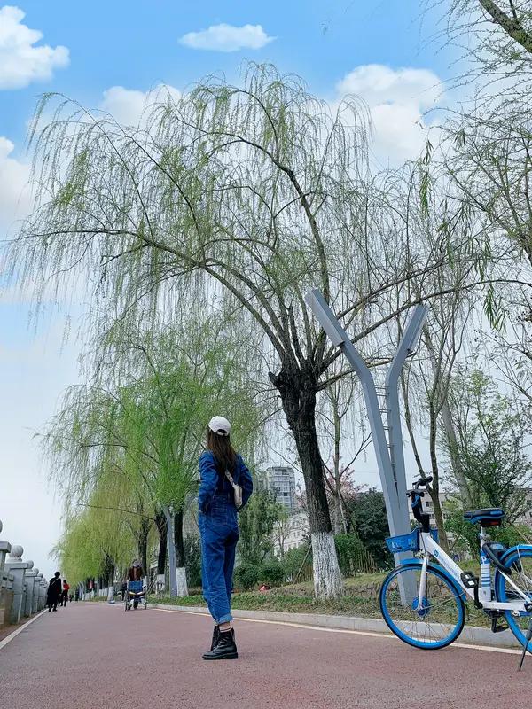 快乐每一天，幸福每一年，健康到永远，年年挣大钱，愿我们都能在春日里收获满满，万事