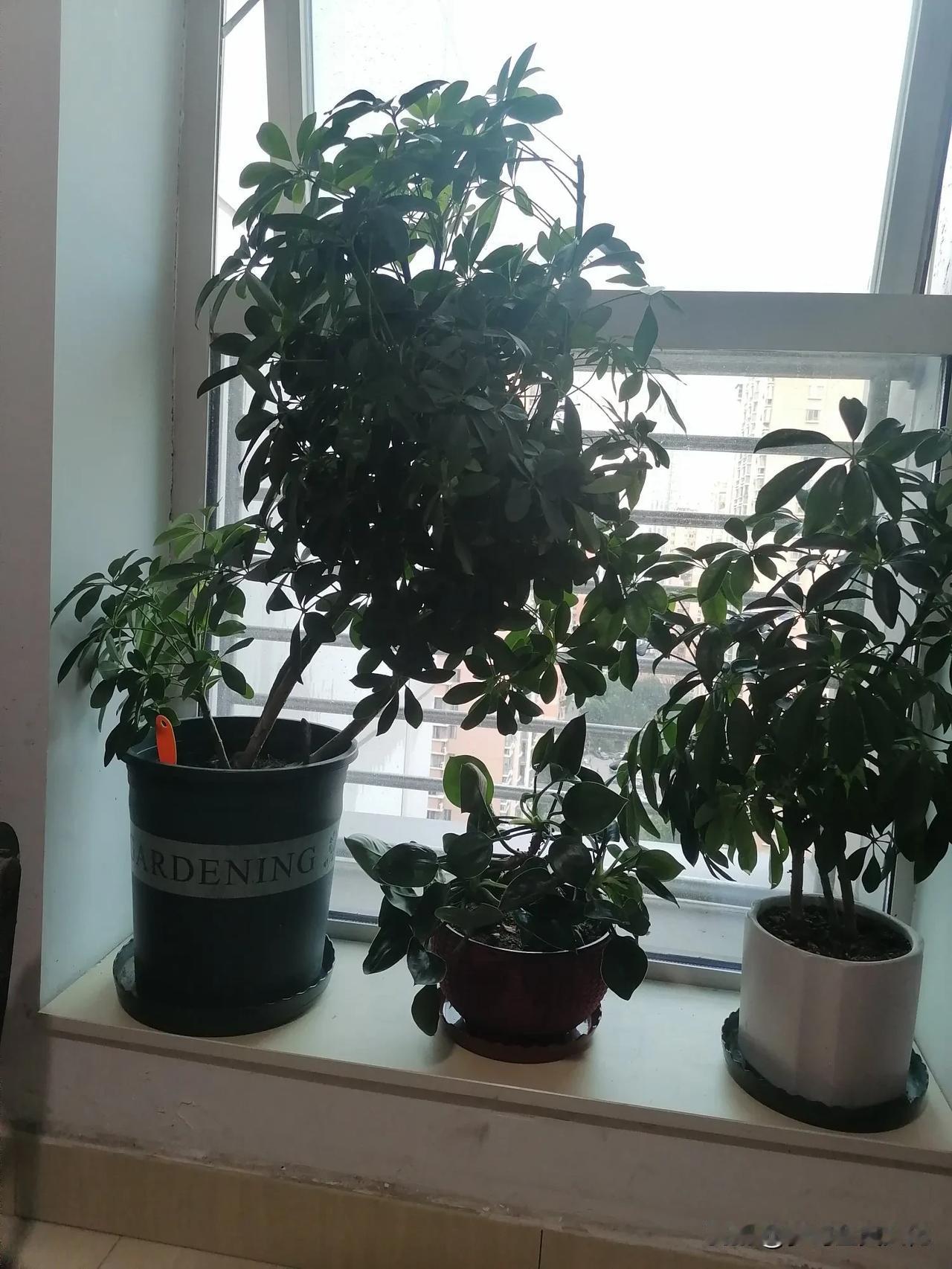 目前来说！都说大环境不好啥！大环境不好说明不了自己，因为所有都需要自己，离开了自
