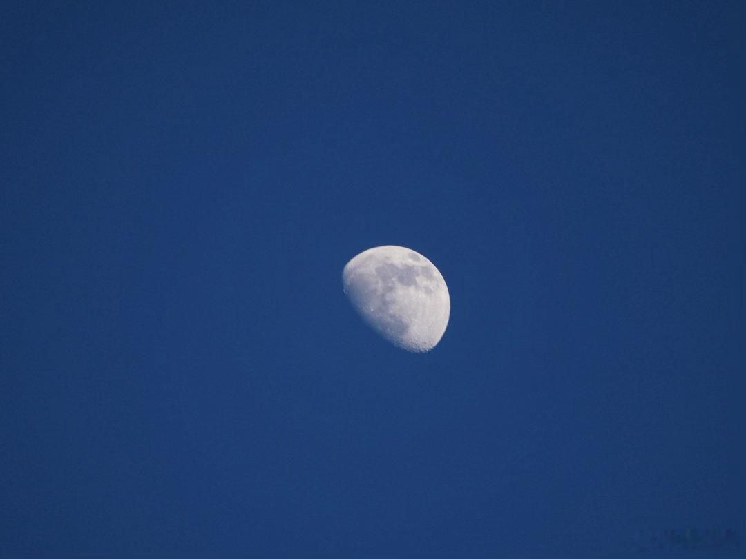 城市远眺，广佛城市风光人文 PEN-F 75-300日常记录 广州·星海音乐厅