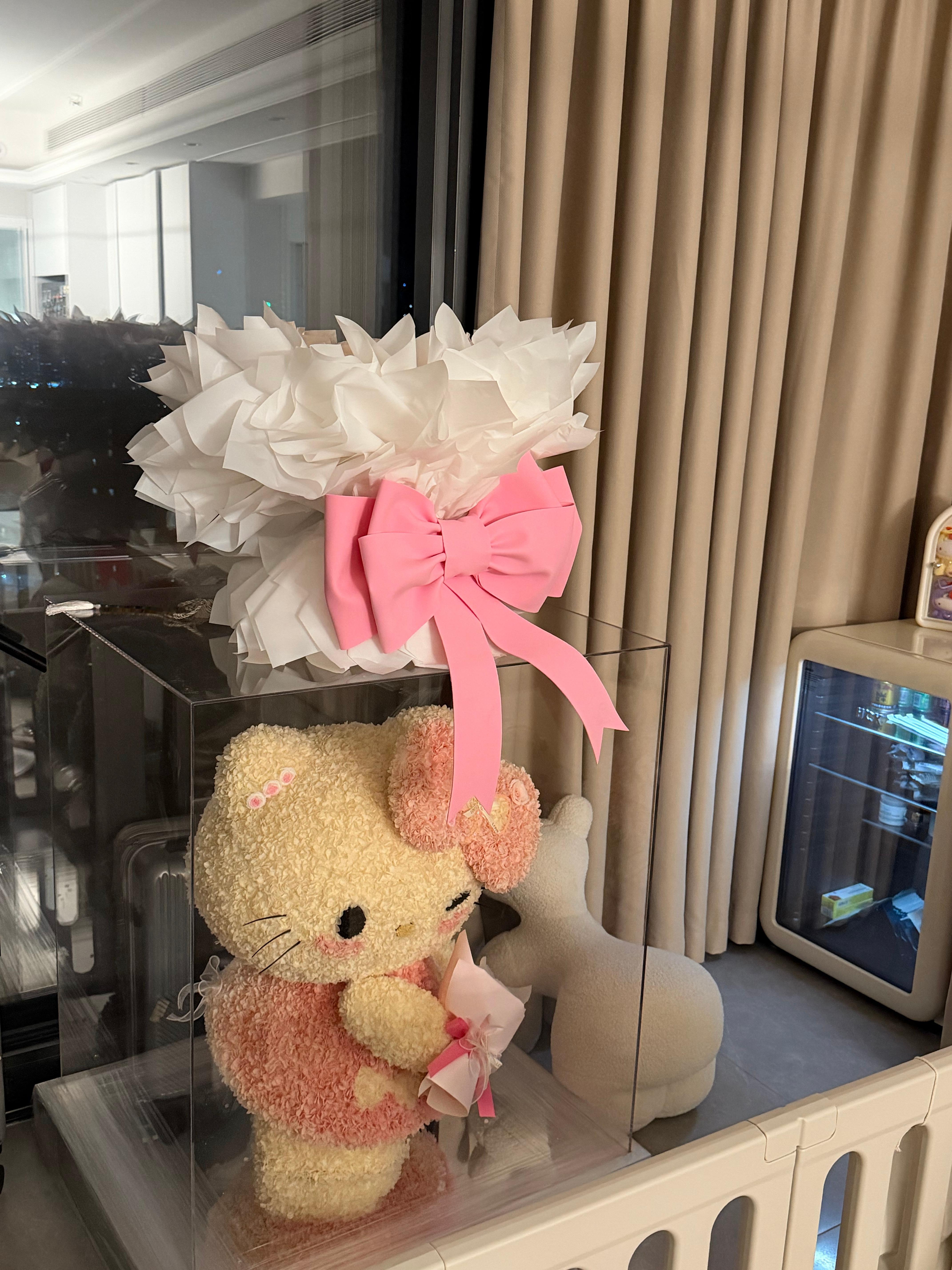 特别特别爱收纳整理 我去干收纳师 本人不更新的时候都在整理 