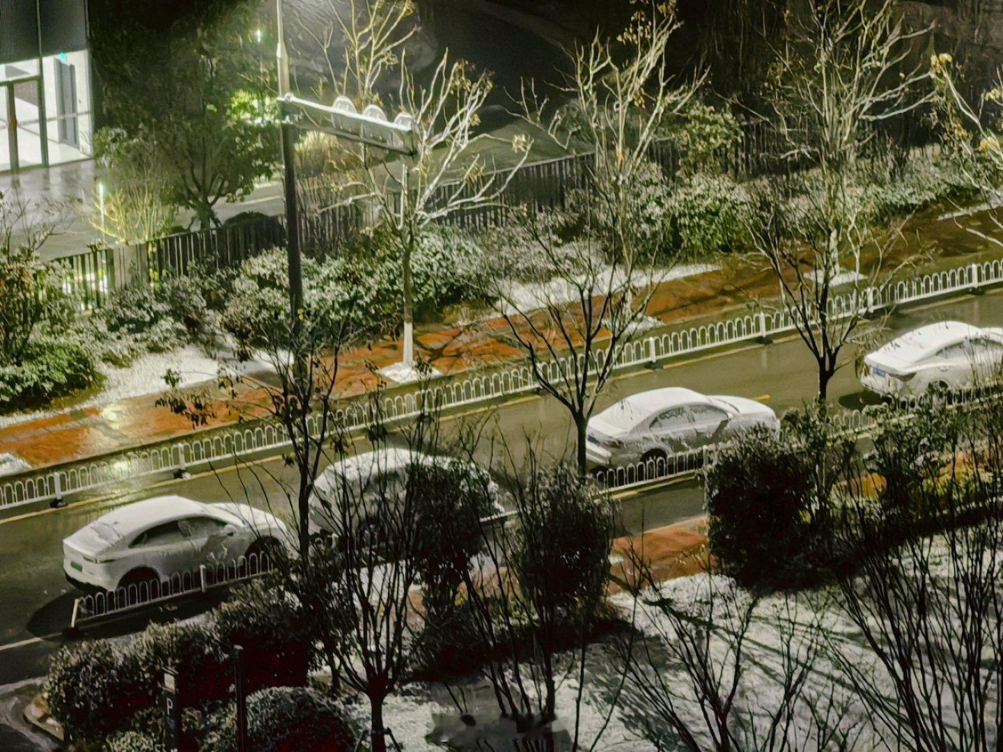 南京下雪 2026年1月1日，南京下雪啦！元旦