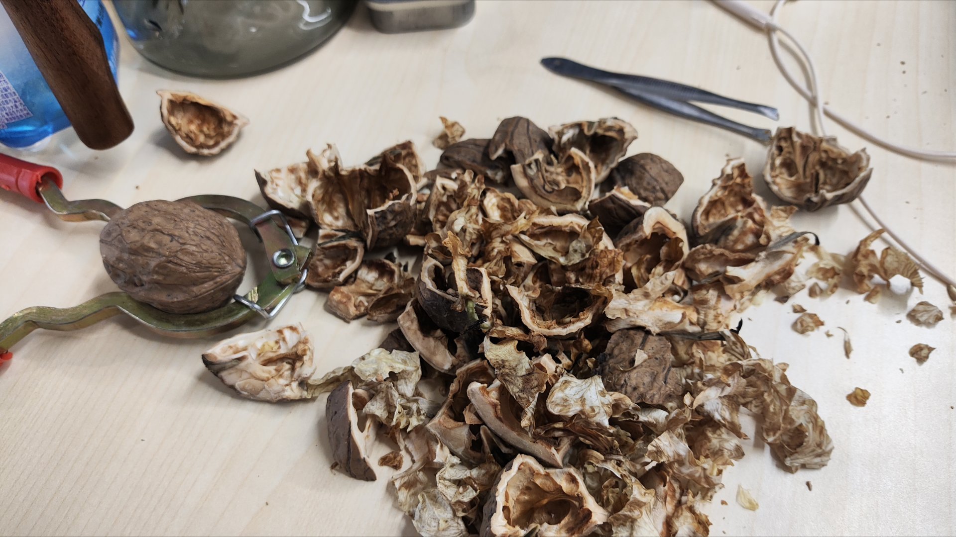 午休时我就这样 