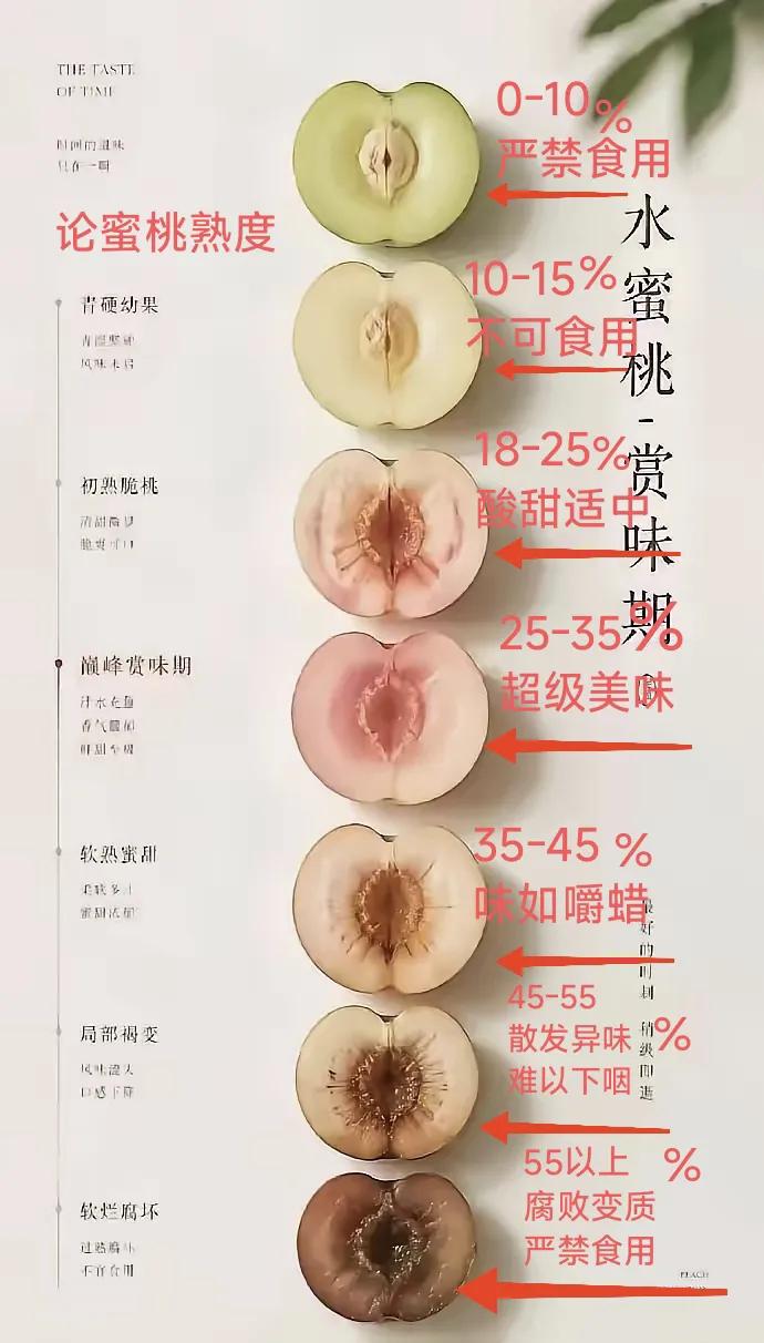 现在水蜜桃正当季。
你吃过桃吗？
你现在正在吃哪种成熟度的桃子？
你觉得哪种成熟