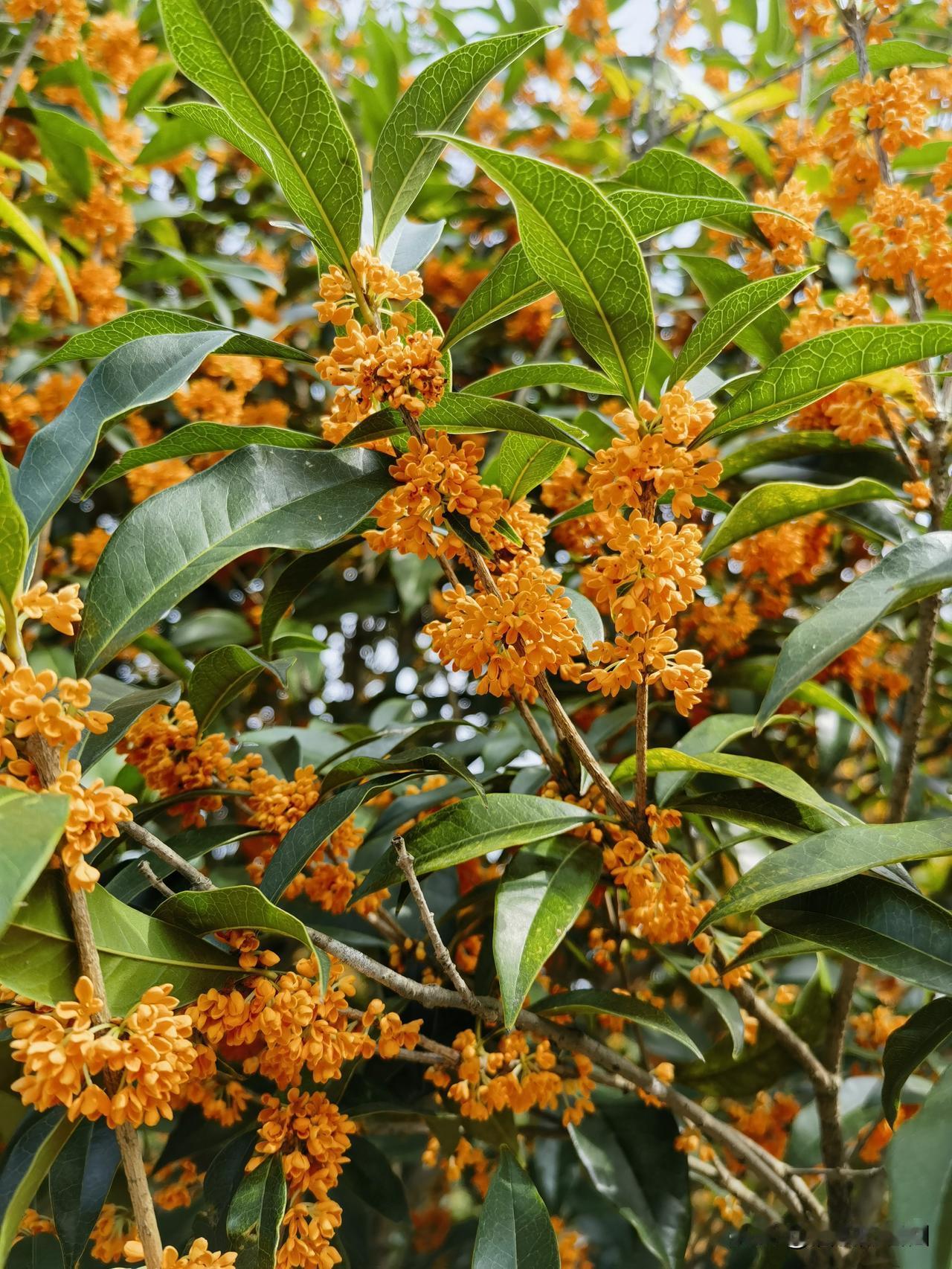 这个问题有点不好回答！
存钱和买保险哪个更靠谱？
这涉及到个人的理财知识，
以及