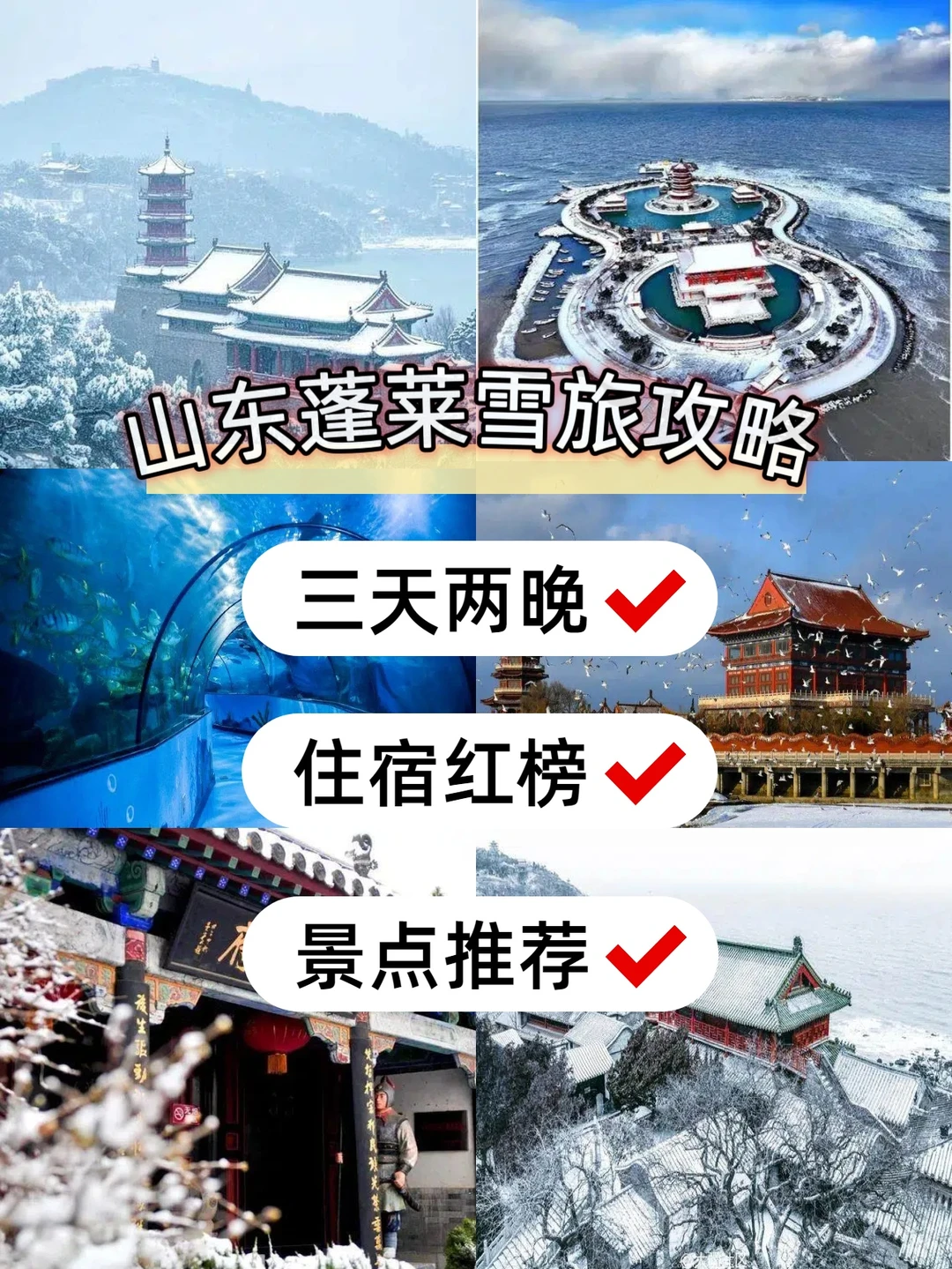 🌊2026必打卡！蓬莱神仙攻略来咯！🌅