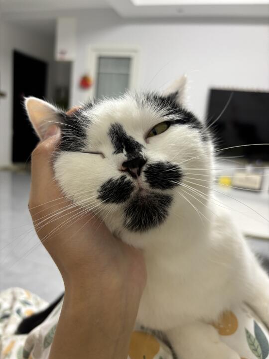 谁懂！！！！！！！！！！（尖叫）