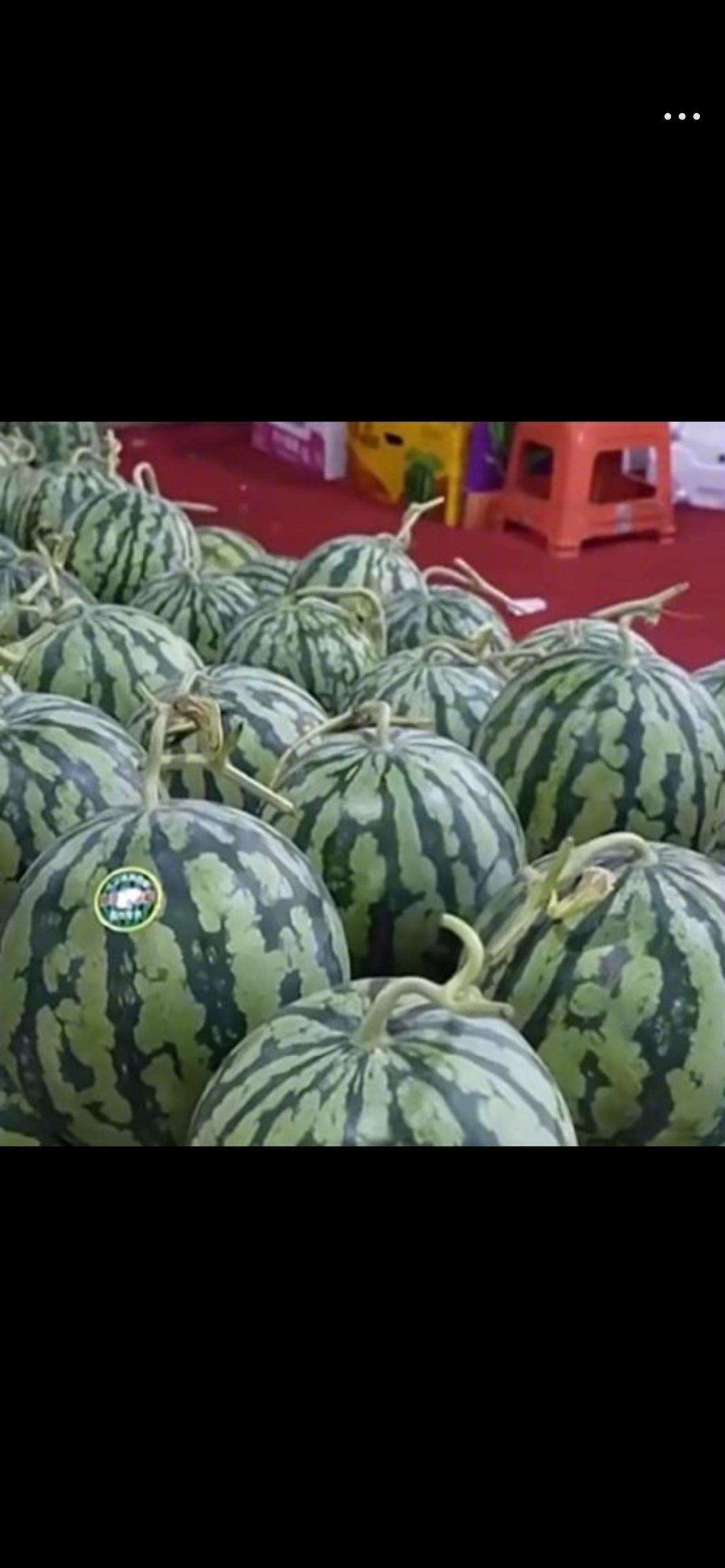 爆款标题：杭州人别急着买瓜！喜欢吃瓜的本地人，真的可以再等等


杭州天气越来越