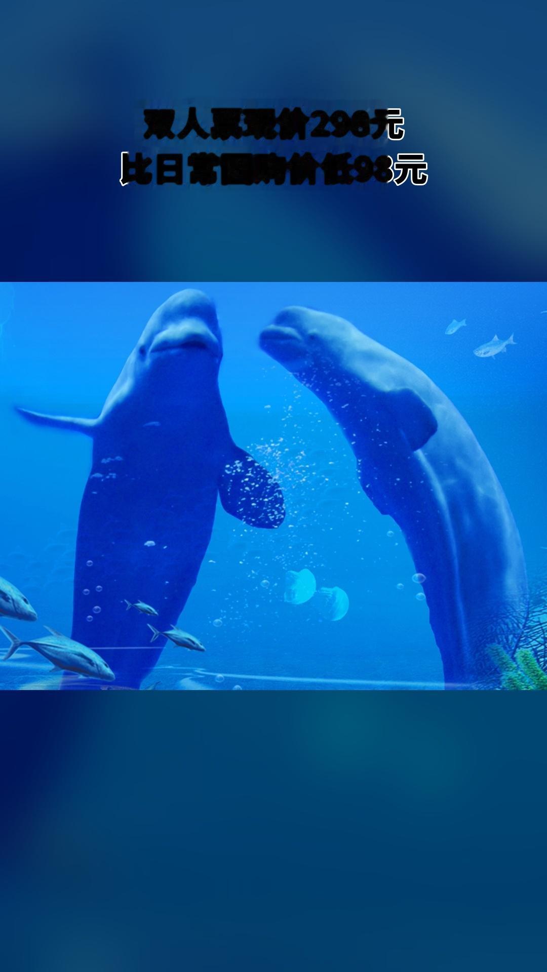 冰雪海洋世界，特卖新品，囤货好时机，4.2分推荐，【双人票】（注意，叠...