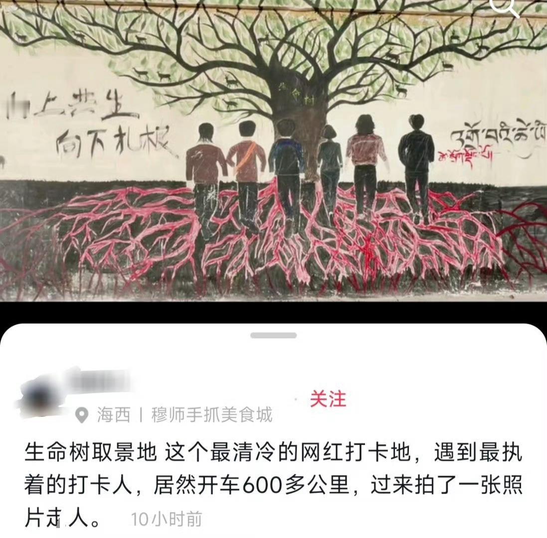《生命树》的吸引力和长尾续航力真的太强了，有人特意驱车600公里奔赴剧中取景地打