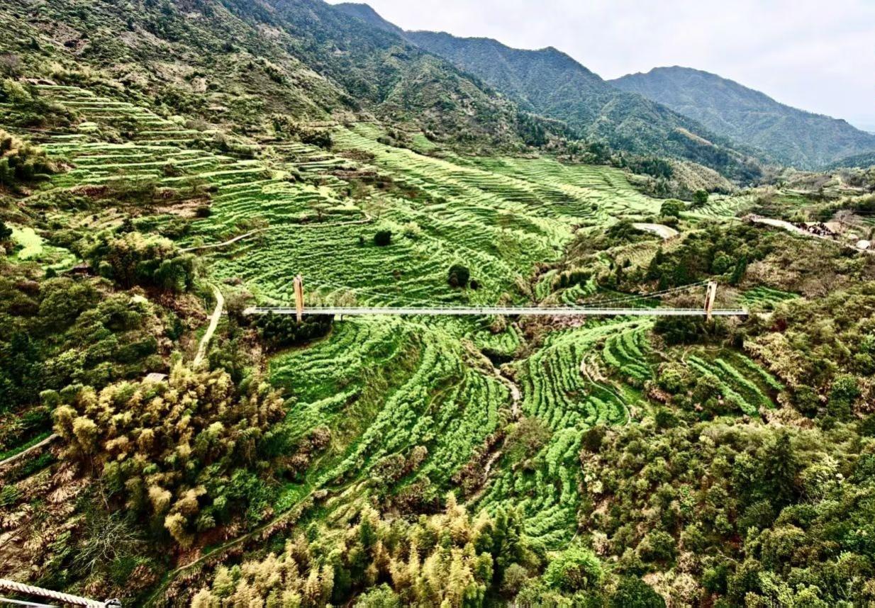 翠岭铺成绿色锦缎，长虹横跨峡谷天堑🌉。春日山野藏着最动人的肌理，层层梯田顺着山