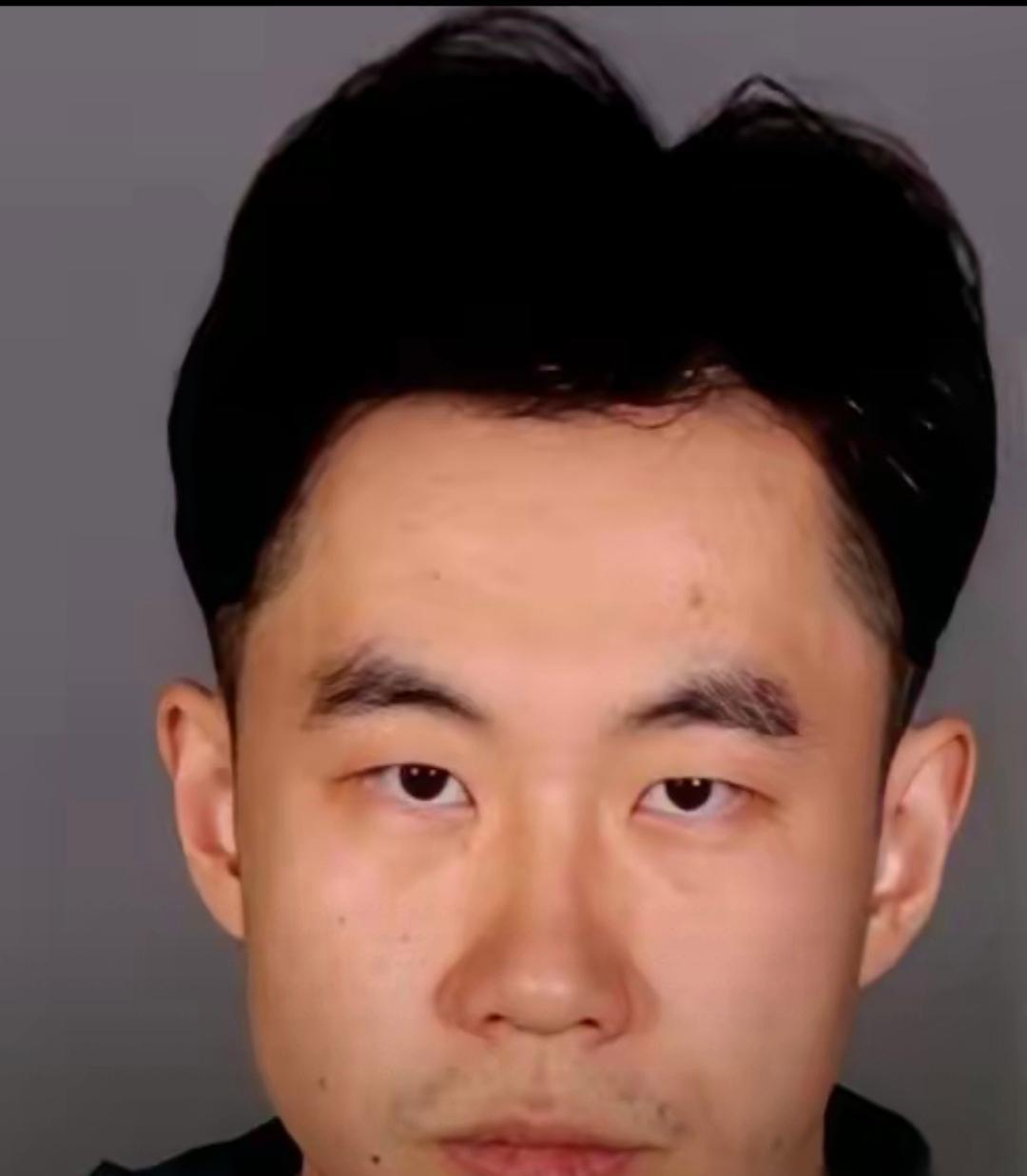 张大鹏，一个哈工大毕业、在法兰克福拿高薪的IT经理。如果不是德国警方那把破门而入
