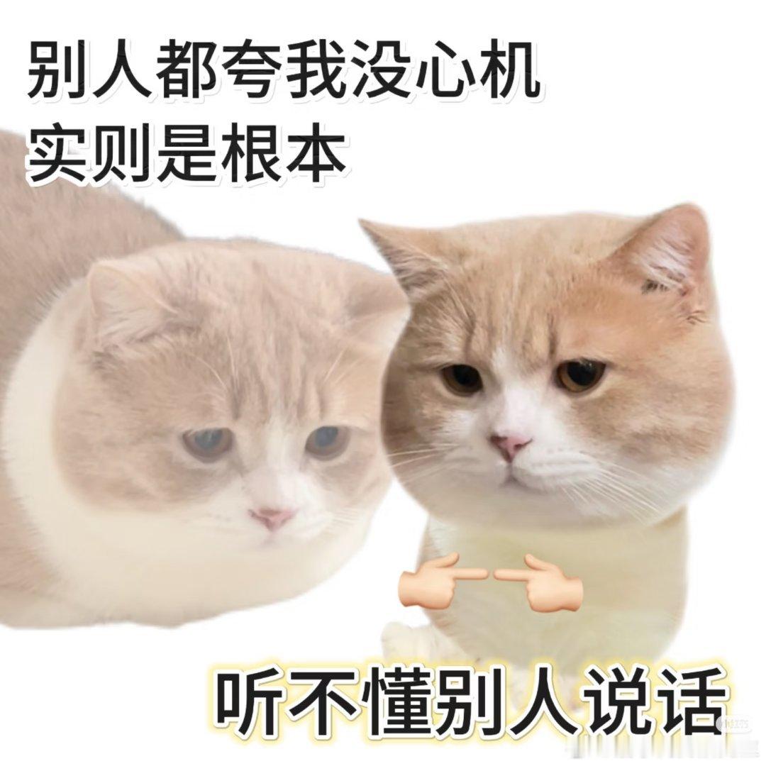 苦苦的☕ 