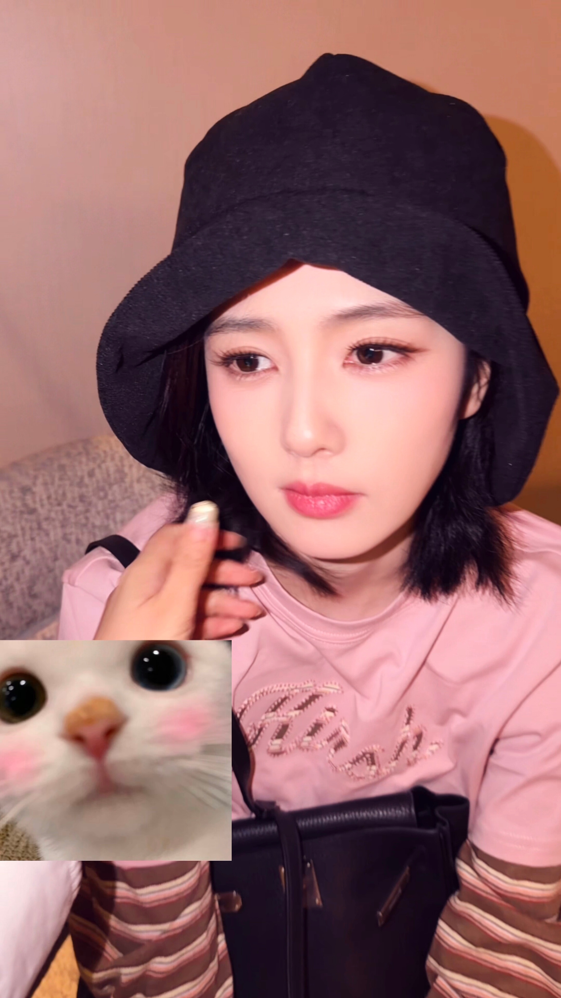 早呀 小粉猫[么么哒]白鹿王韵娜 ​​​
