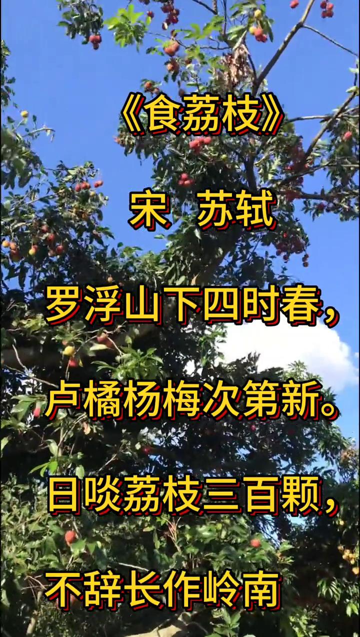 《食荔枝》
宋，苏轼。
罗浮山下四时春，卢橘杨梅次第新。
日啖荔枝三百颗，不辞长