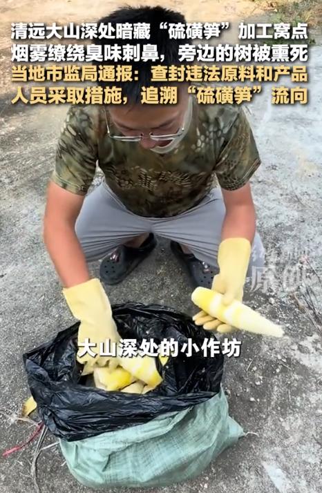 我怀疑过清远硫磺笋作坊为赚黑心钱铤而走险，也猜到这些小作坊长期偷工减料、违规生产