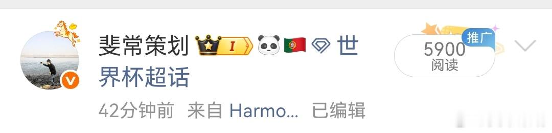世界杯我选择了支持罗哥，加油吧，圆梦世界杯，当然，最后一届了，开心就好，能不留遗