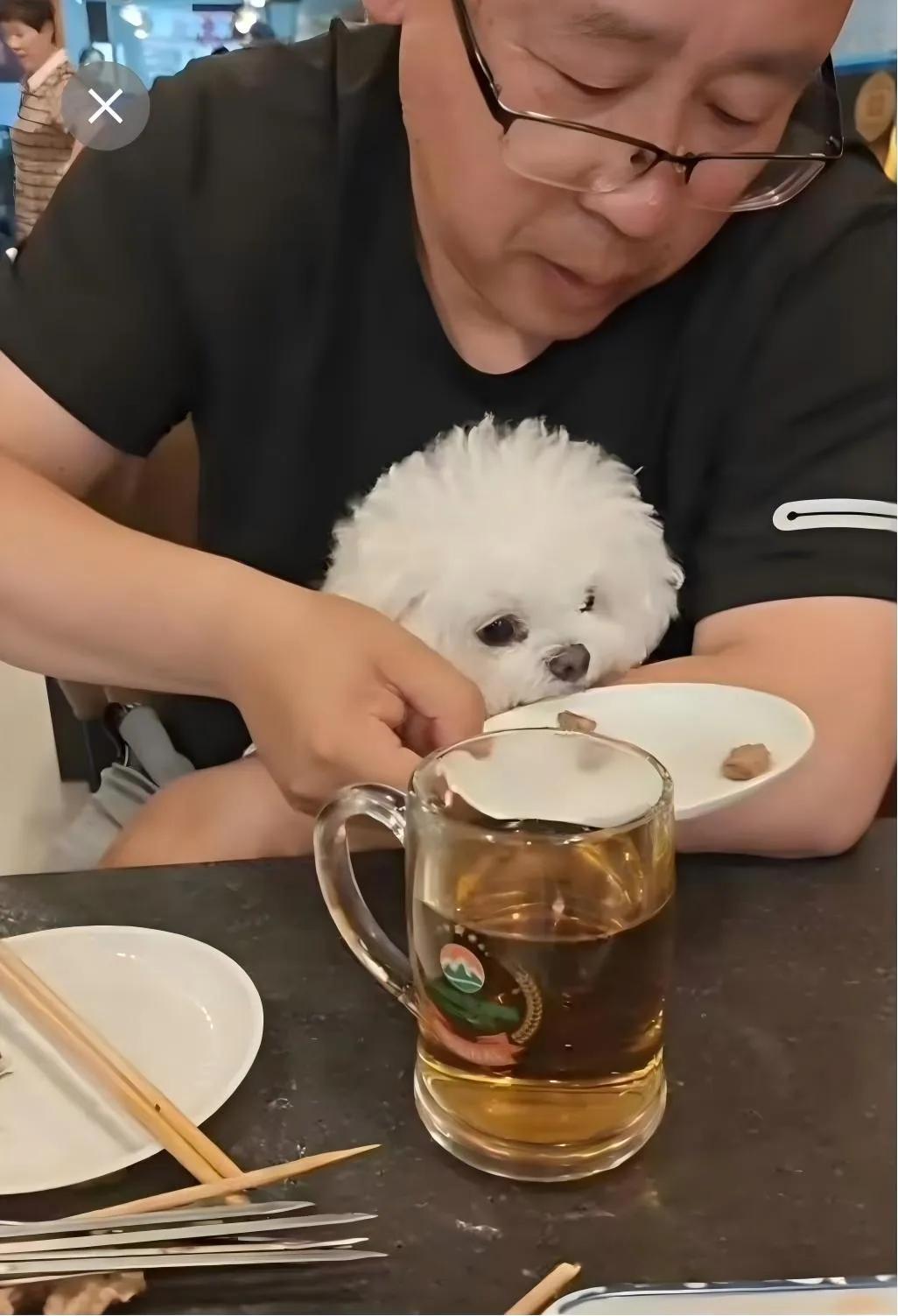 这种人缺德！他们的低素质是造成很多人讨厌狗的原因之一。他们害了狗狗群体。
刚刷到