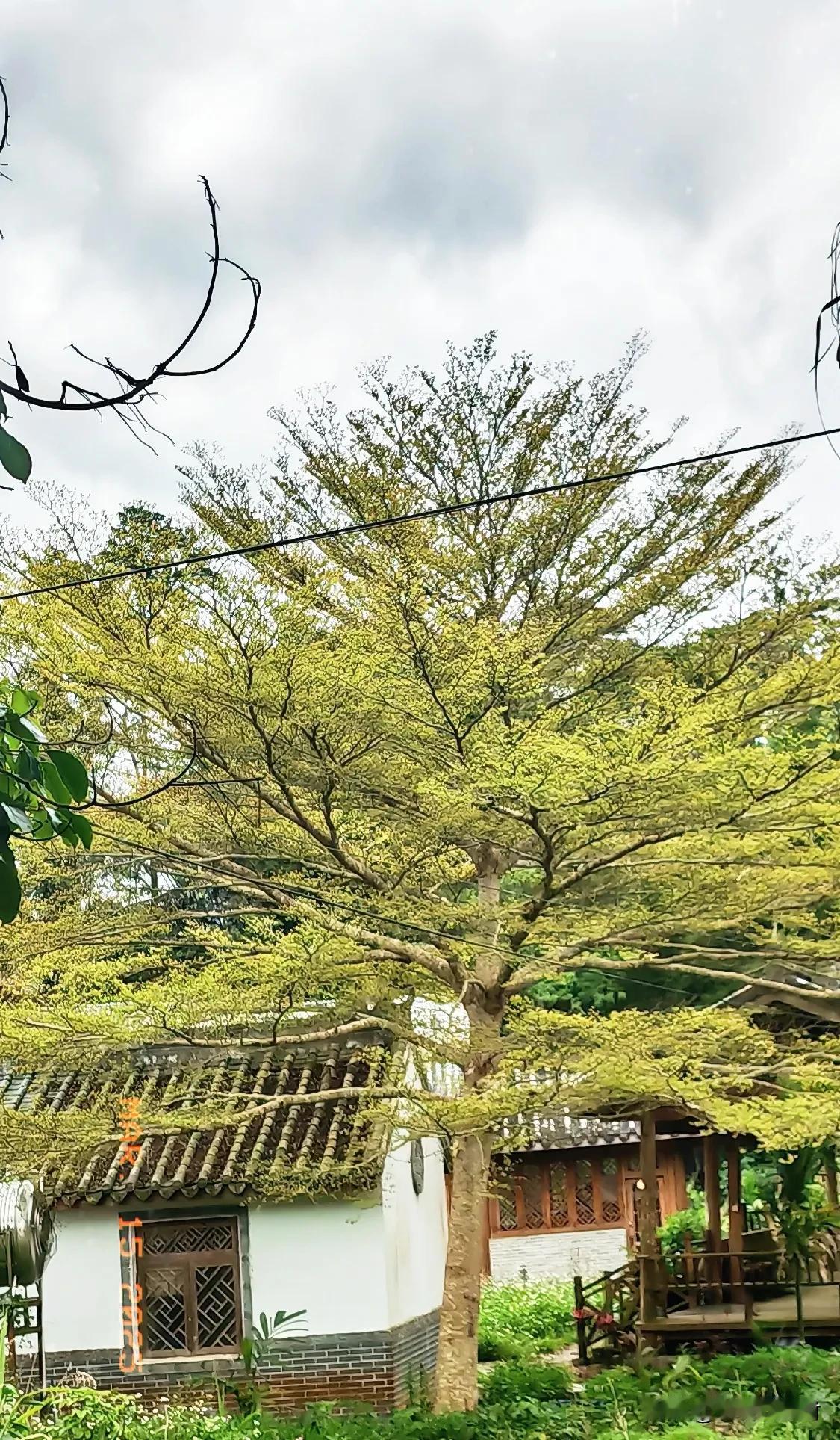 支持友友！这样应酬少、操心少，心情好，还一样拿工资，何乐而不为呢？！[捂脸]
优