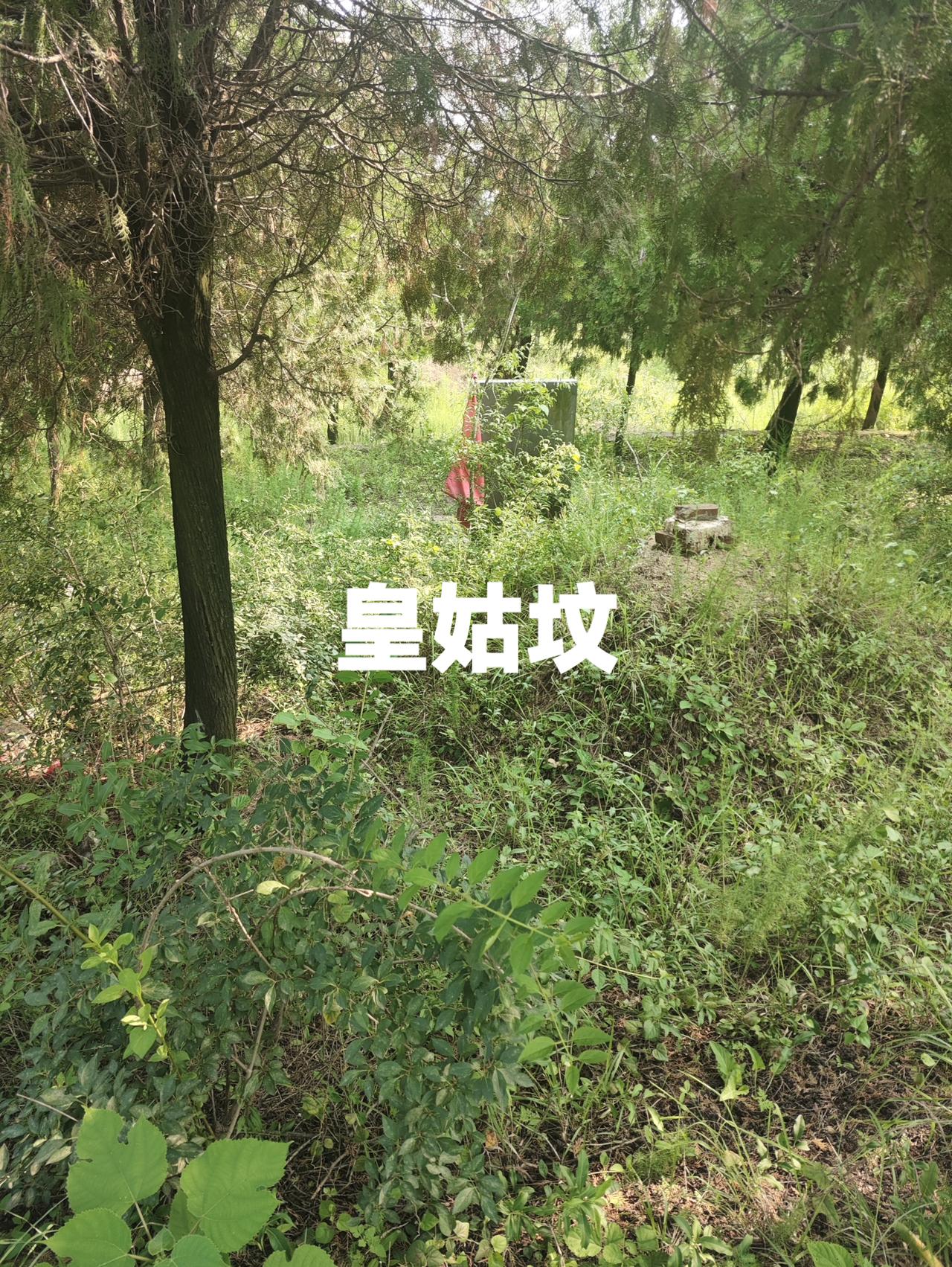 奔走在莒地的古祠堂、老山野之间，梳理尘封的宗族往事，推敲先辈颠沛的流亡岁月。
忙