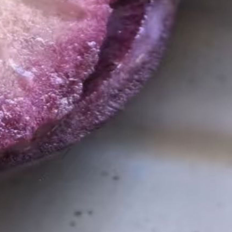 0000sorry我担就这么争气 牛奶果的种植方法牛奶果适合在温暖湿润、光照充足