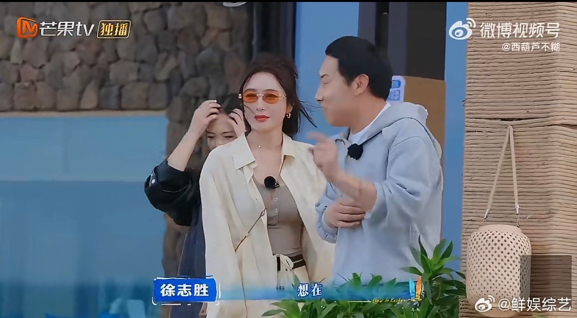 秦岚沈月徐志胜讨论如何背刺同事 表面和谐友爱，私下疯狂讨论背刺同事，这三人组的相