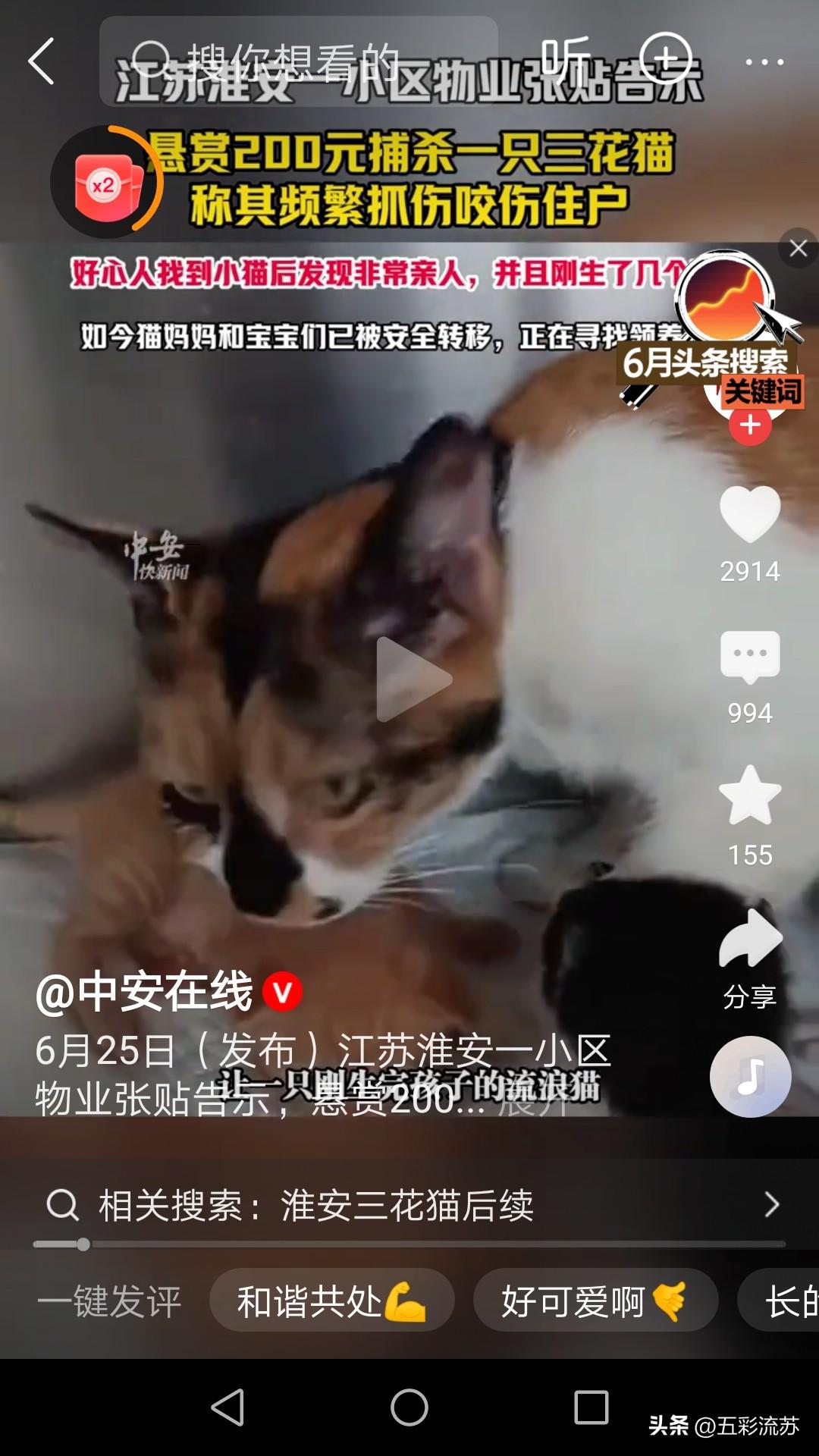 江苏淮安某小区物业张贴告示，悬赏200元捕杀一只三花猫，此事一经曝光，便激起了强
