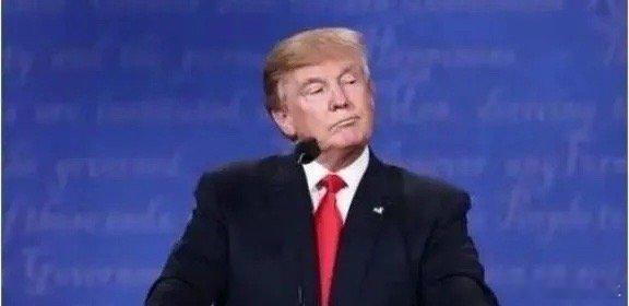 万万没想到，等来的不是高市的道歉，而是特朗普站在全世界面前，一字一句地宣布：“永