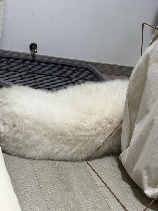 猜猜我是谁❓