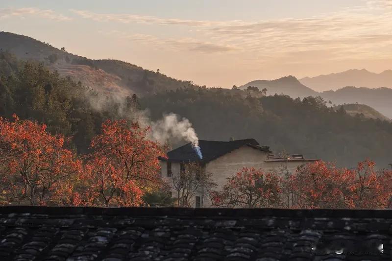 “春夏养阳，秋冬养阴”，
此乃古人顺应四时的养生智慧。

春夏阳气生发，当拥抱阳