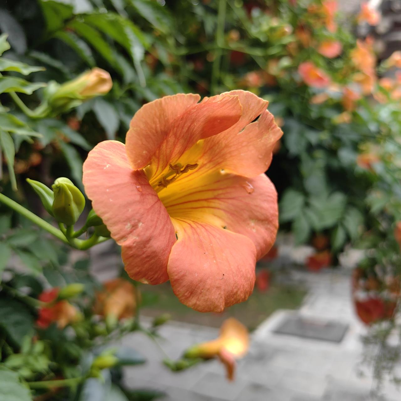 炒股最大的变化：终于沉住气了
 
炒股这么久，我最大的改变，就是心里有定力了，再