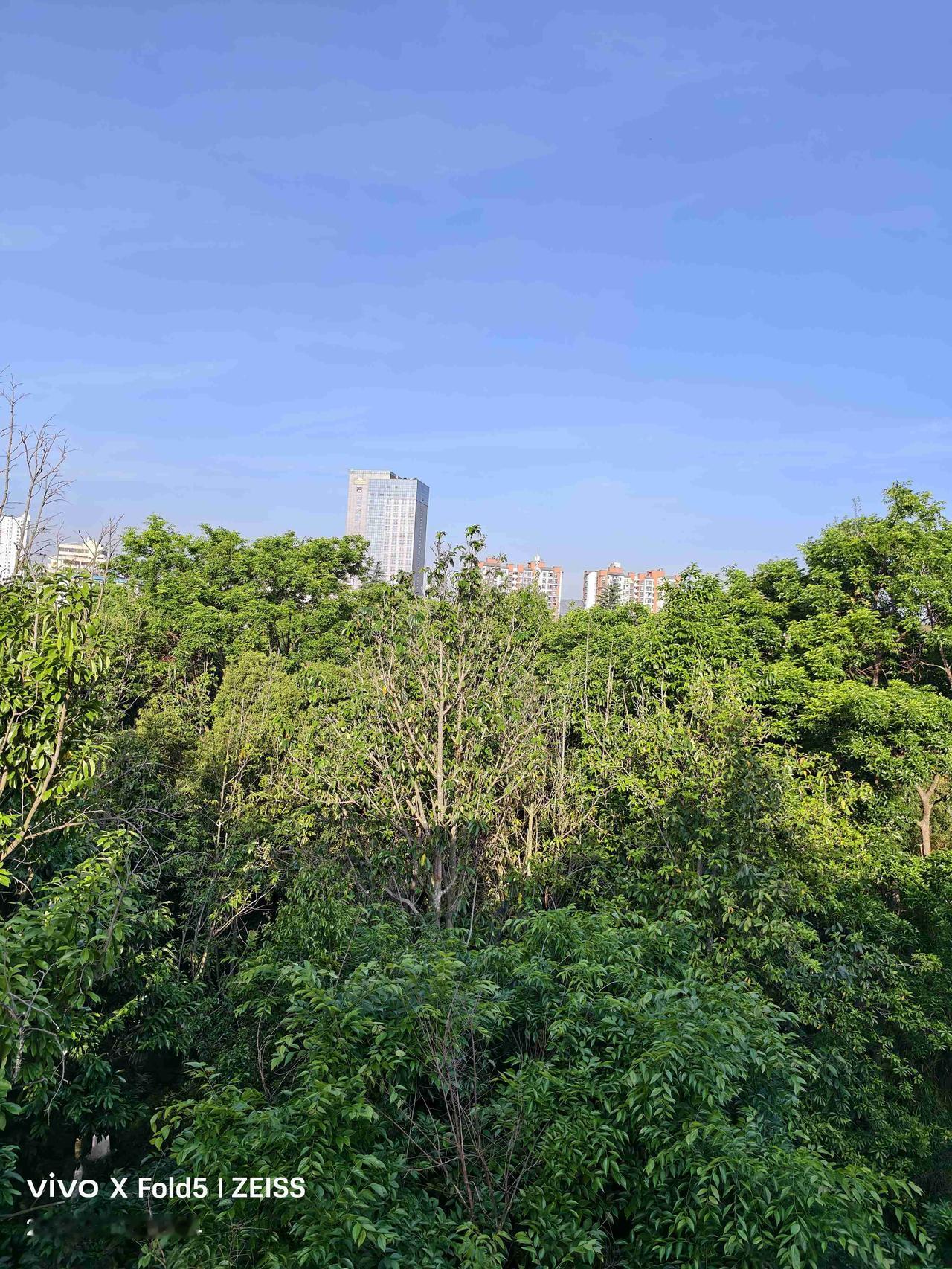 素老三将一件我看来没有意义的事写出来，有流量。写头条一定是简单明了，短小精悍，加