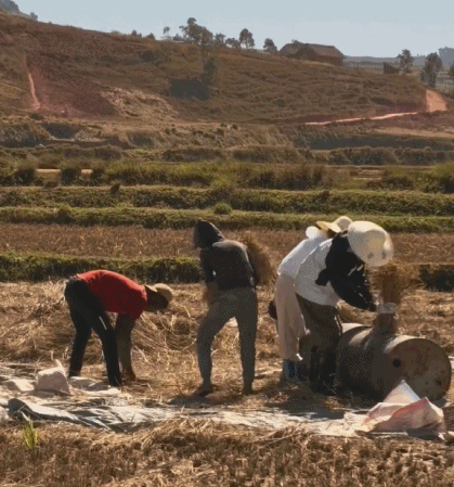 重生之我担在非洲务农非洲太远了，建议下次换我们村 ​​​
