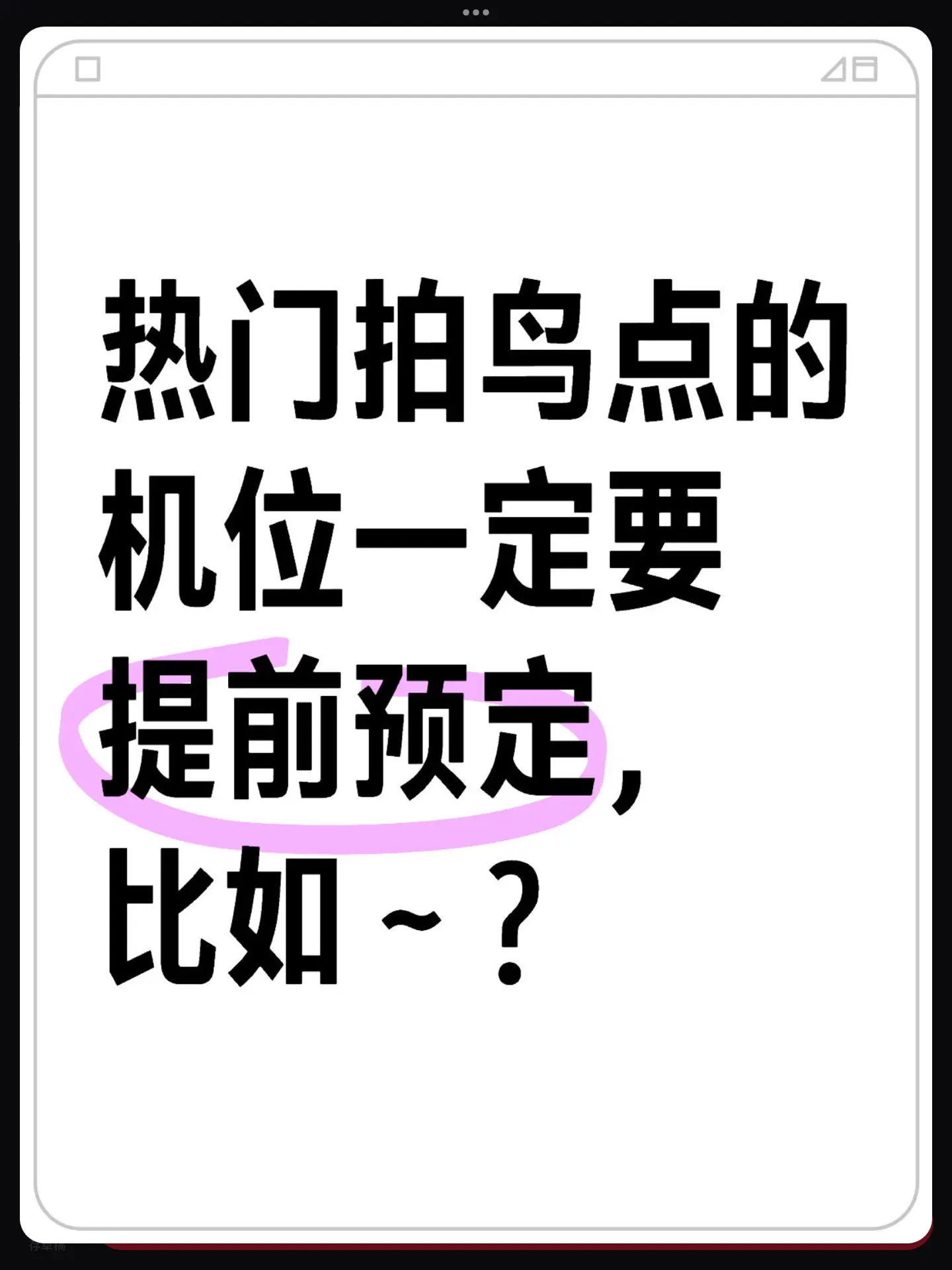 我先来：2月中旬以后的犀鸟拍摄 双角，花冠超级难约