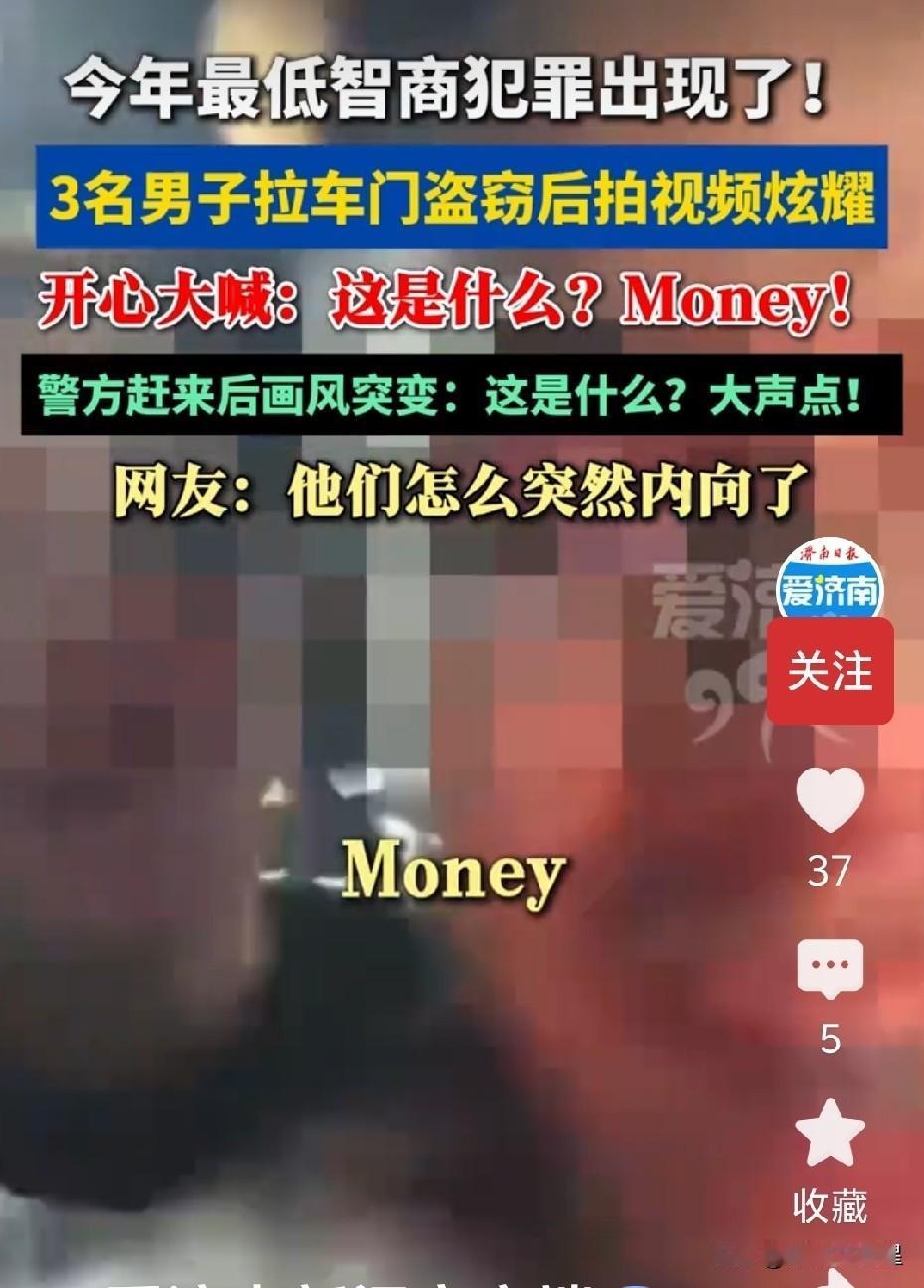 真是让人笑掉大牙！听说过偷东西发朋友圈显摆的，还从未见过偷东西发网上炫耀的！
