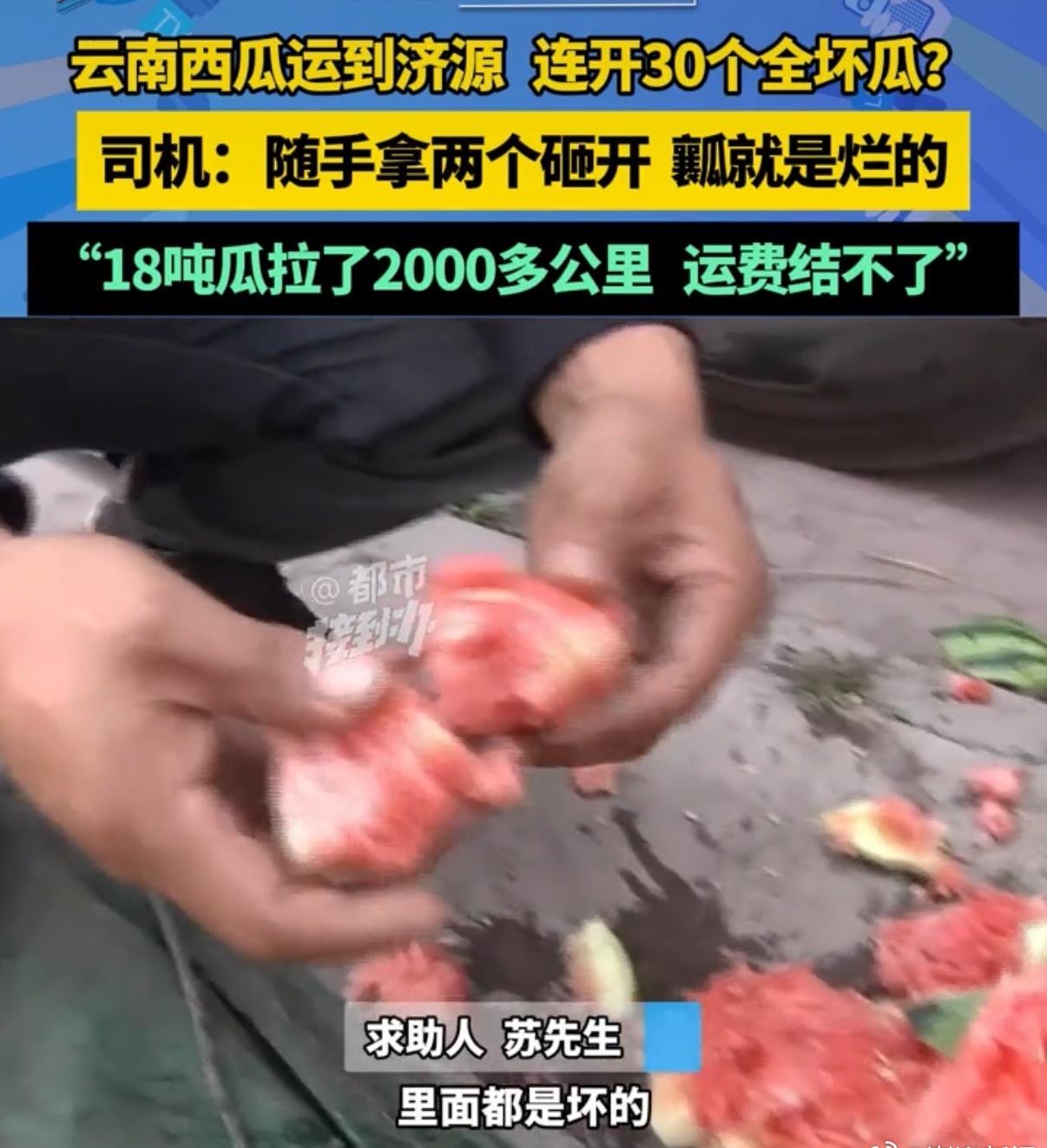 【官方回应18吨西瓜连开30个全是坏瓜：联合多部门加大各环节监管】针对媒体报道“