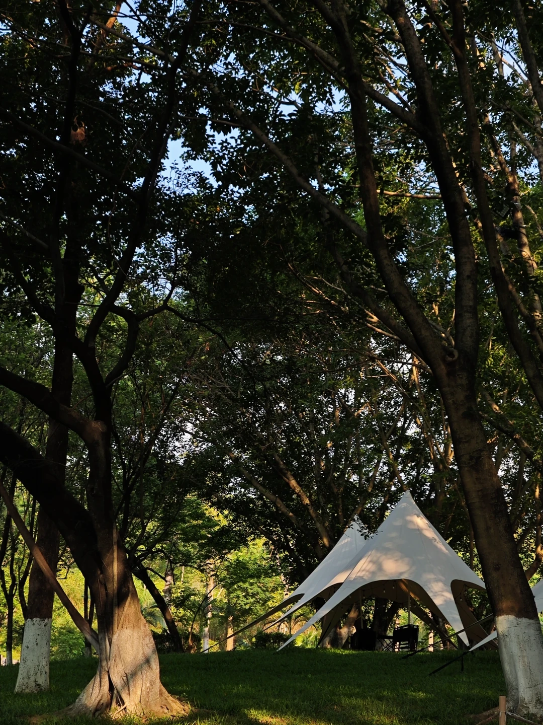 广州）用低成本享受生活的地方真的很多！！