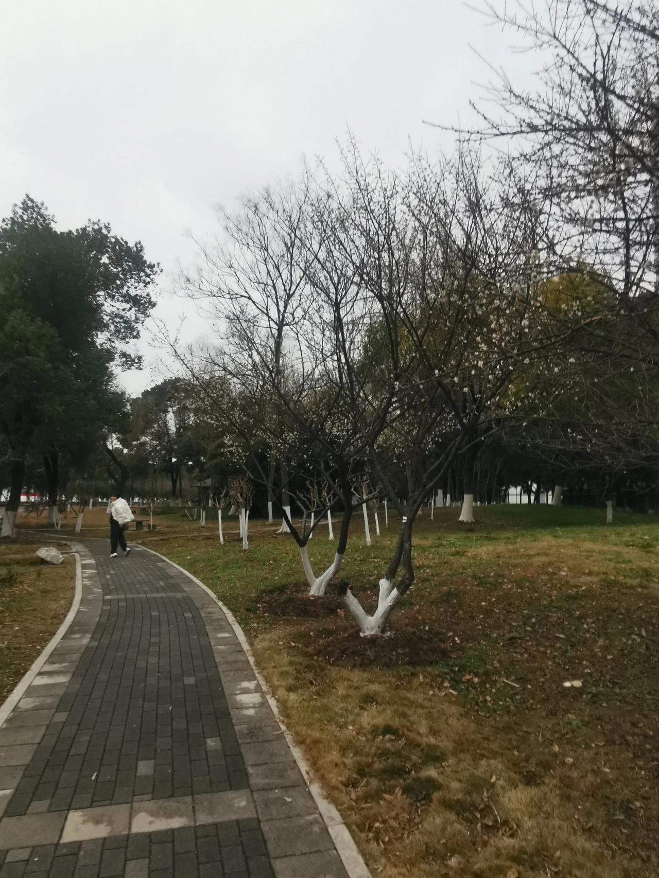 城市街道小区的路面设施由谁维修？

前几天出去散步，偶遇汉阳大道大桥设计院办公楼