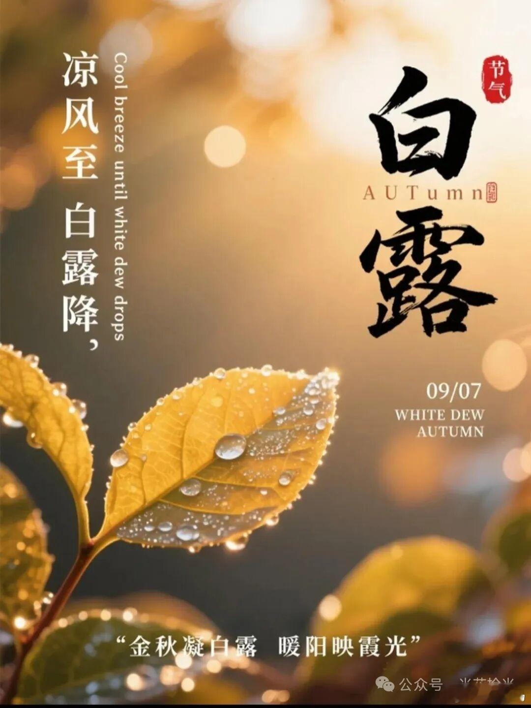 每个人都有一段特别艰难的时光，挺过来的，人生就会豁然开朗；挺不过来的，时间也会教