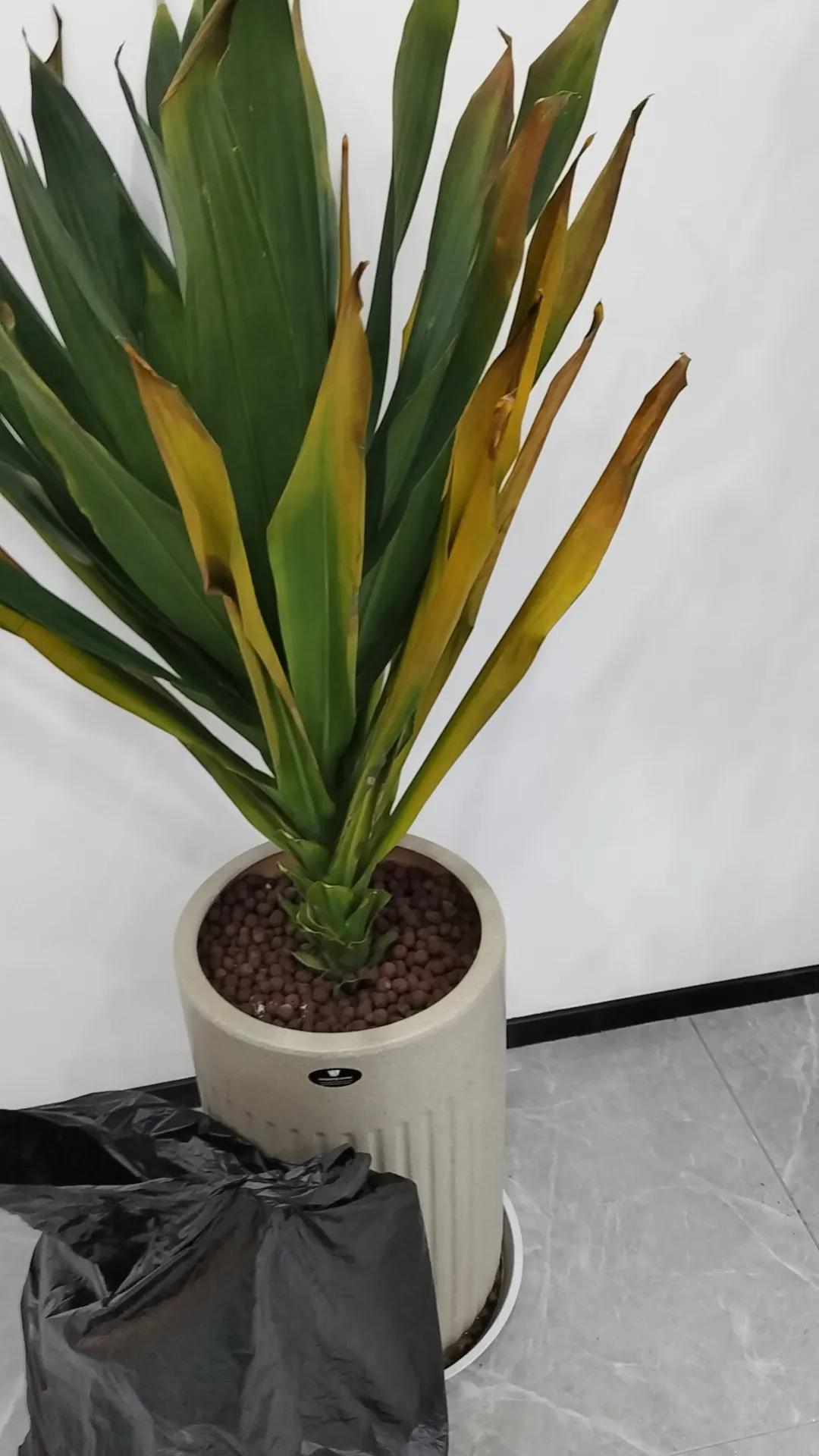 春日生活打卡季春天不是万物复苏的季节吗？你咋又腌了