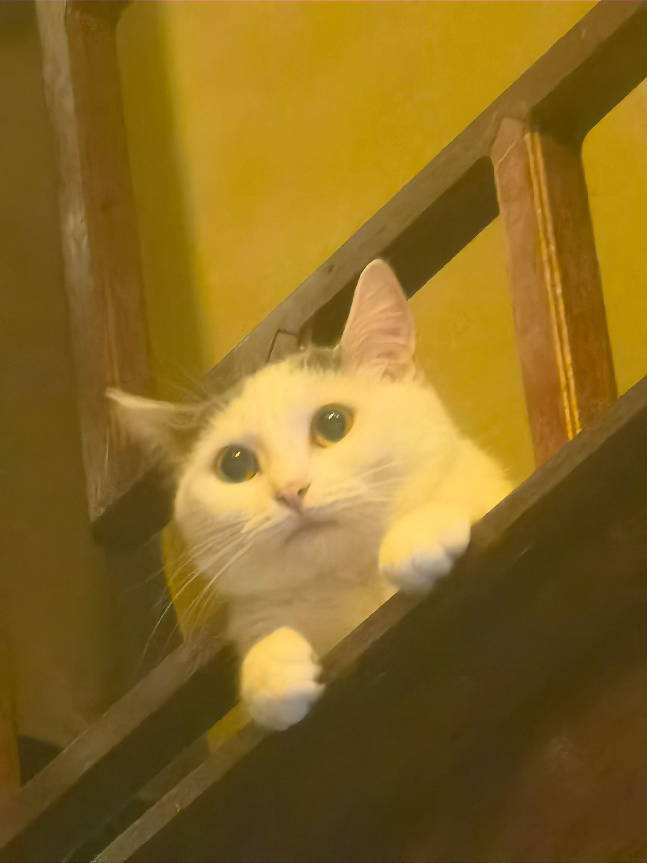 像八月嘛 不像也不删。我就是觉得好可爱