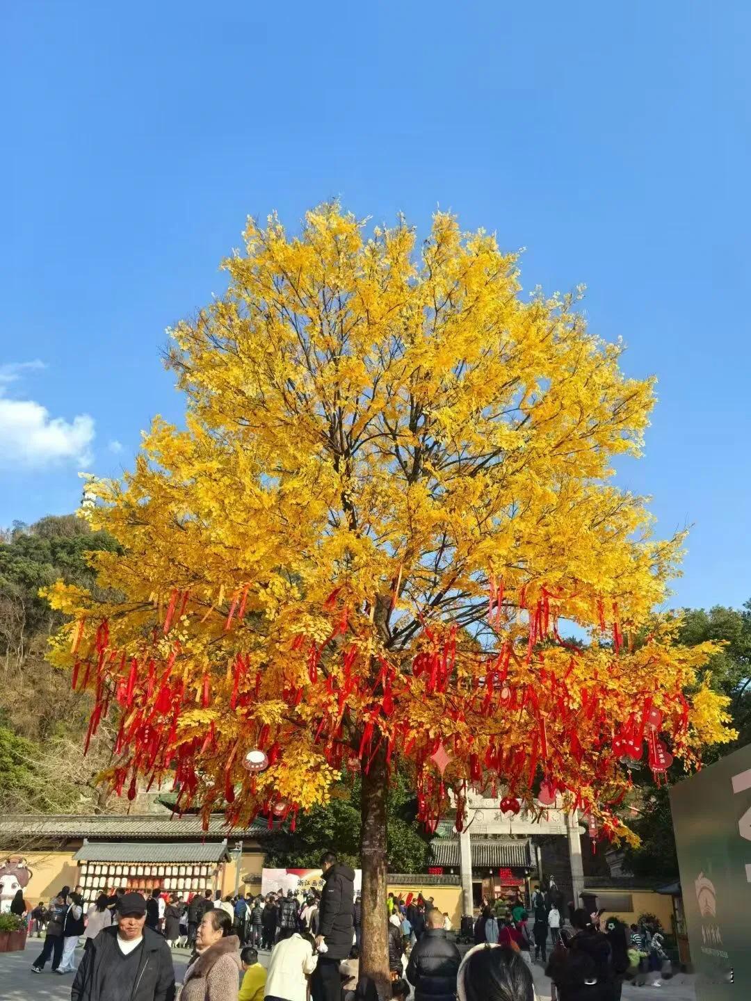 年度经营计划（BP）的制定流程，分为三个阶段：预测与规划指导、业务目标制定、年度