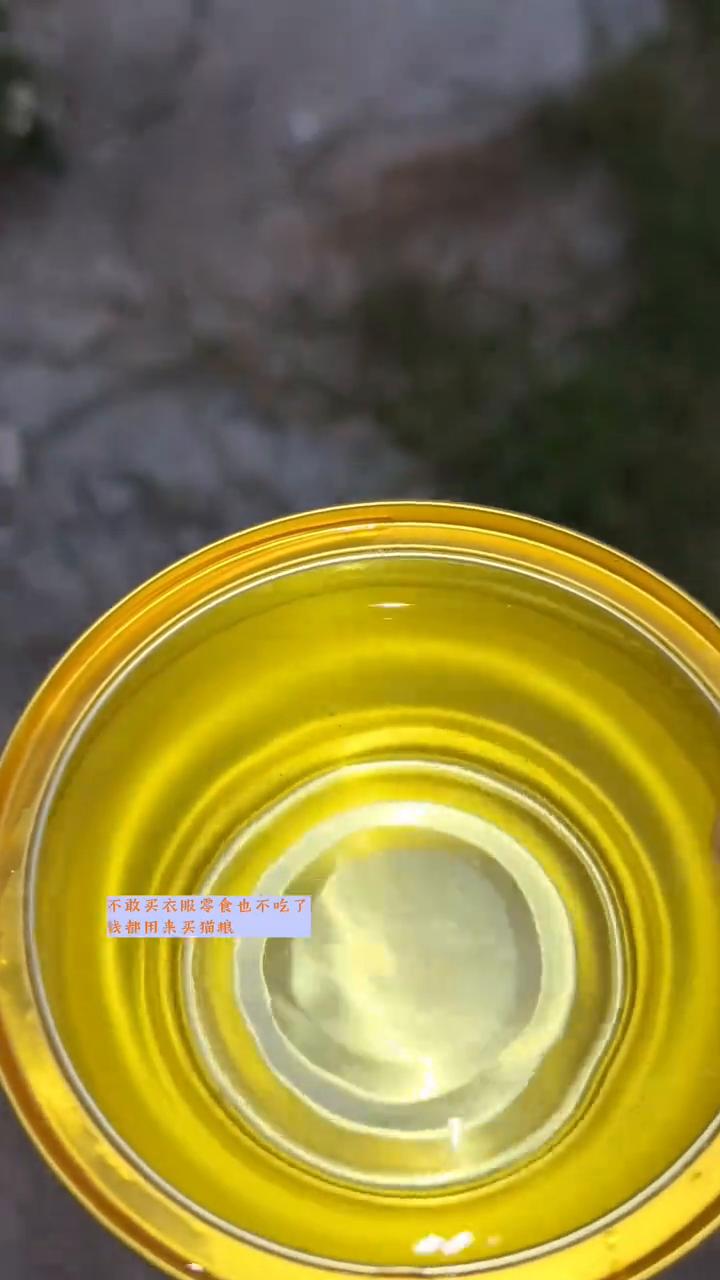 喂流浪猫是为了自我感动？
您说对了，我都感动自己现在怎么这么自律，不敢买衣服，零