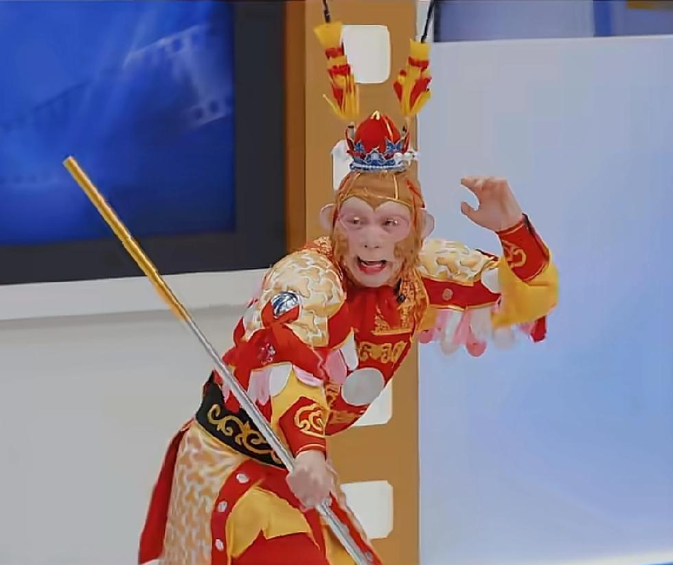 这猴子怎么样，不管是铁柱猴，还是雪饼猴，反正是“猴”，惟妙惟肖。
雪饼猴王铁柱，