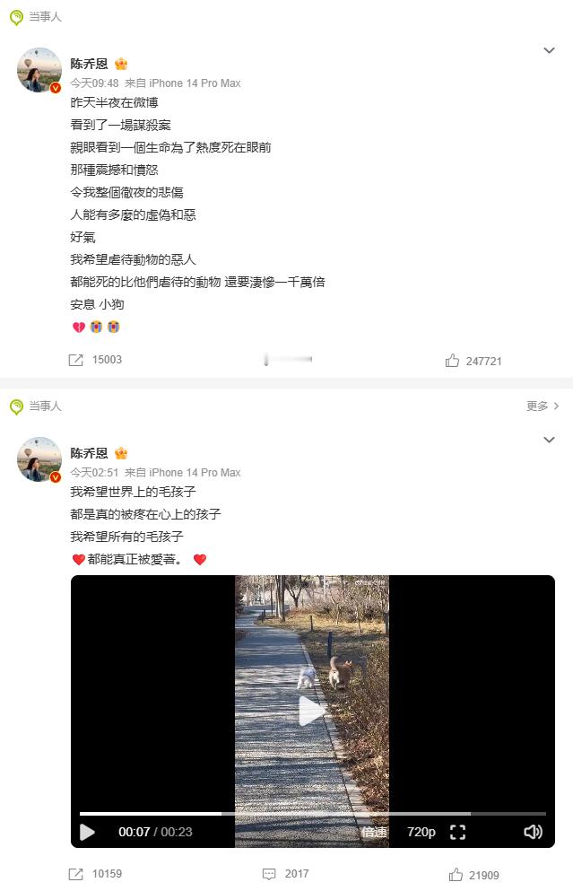 陈乔恩替网红狗艾特发声  是不是明星的共识之一是 “狗命比人命贵”  [吃瓜] 