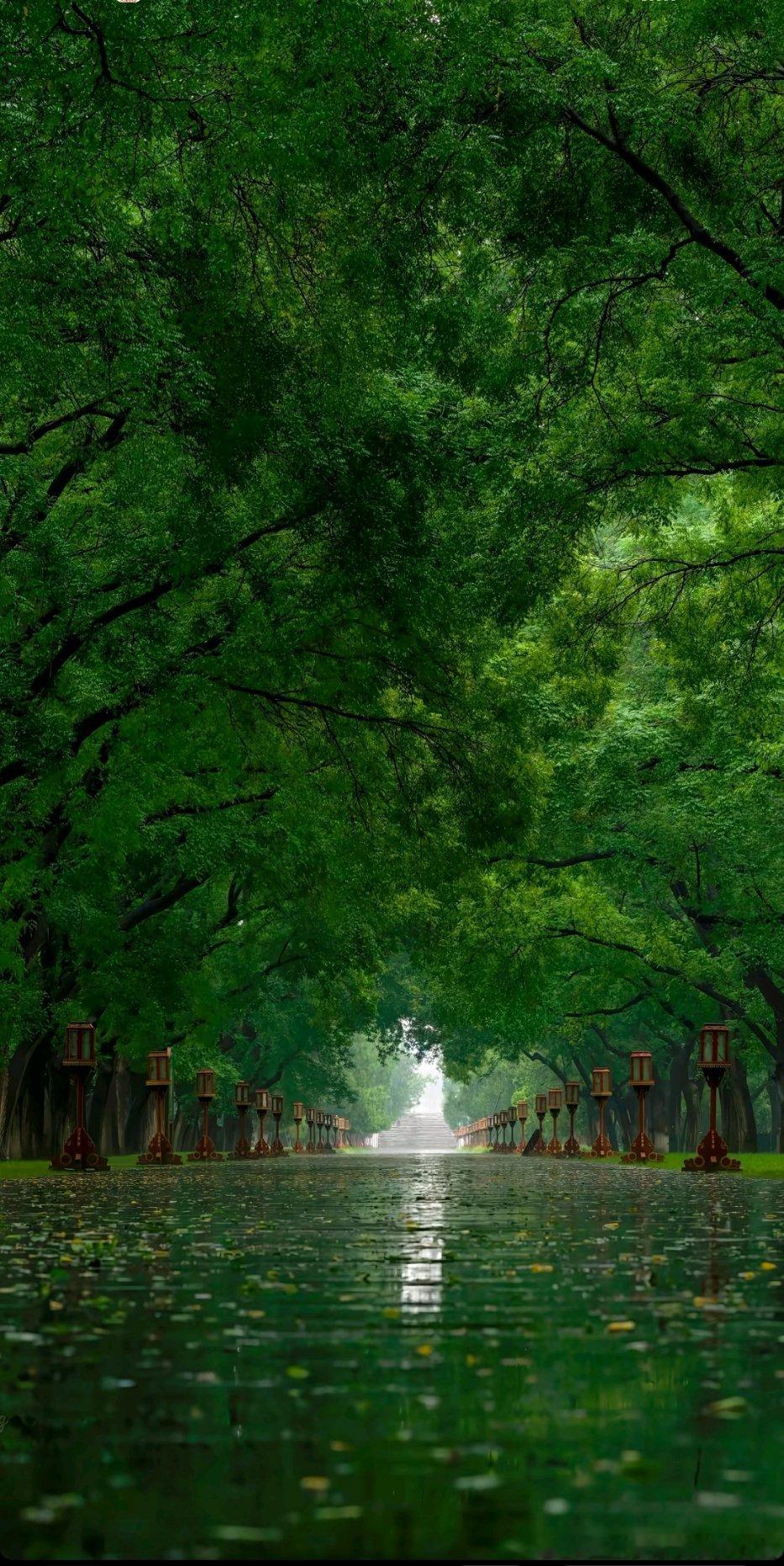 大欢乐事穆君，游法归，得一画。画纵横咫尺，纤毫毕见。画中一牧师，道貌岸然，正立坛