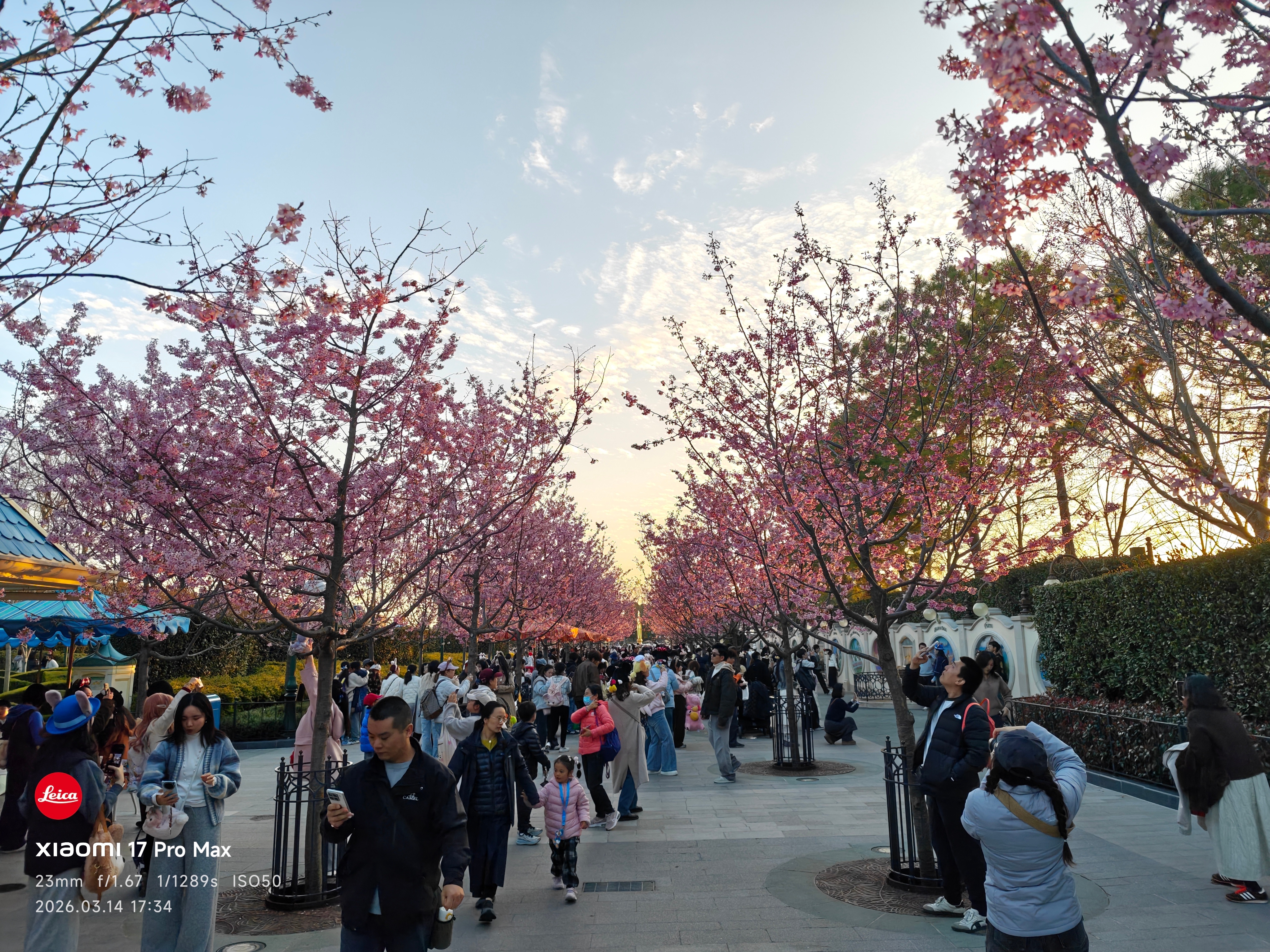 年卡 经常来的蛮划算 买个第一档的还可以，可以搞个十二期免息分期，就是要预约，还